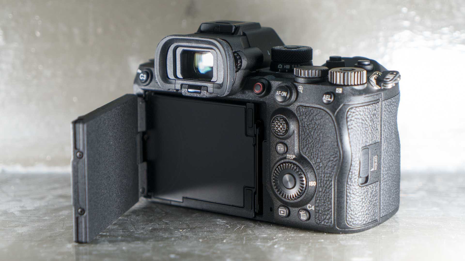  The Sony A1 II’s screen can be tilted to give a clear view whether you are shooting in landscape or portrait orientation. 