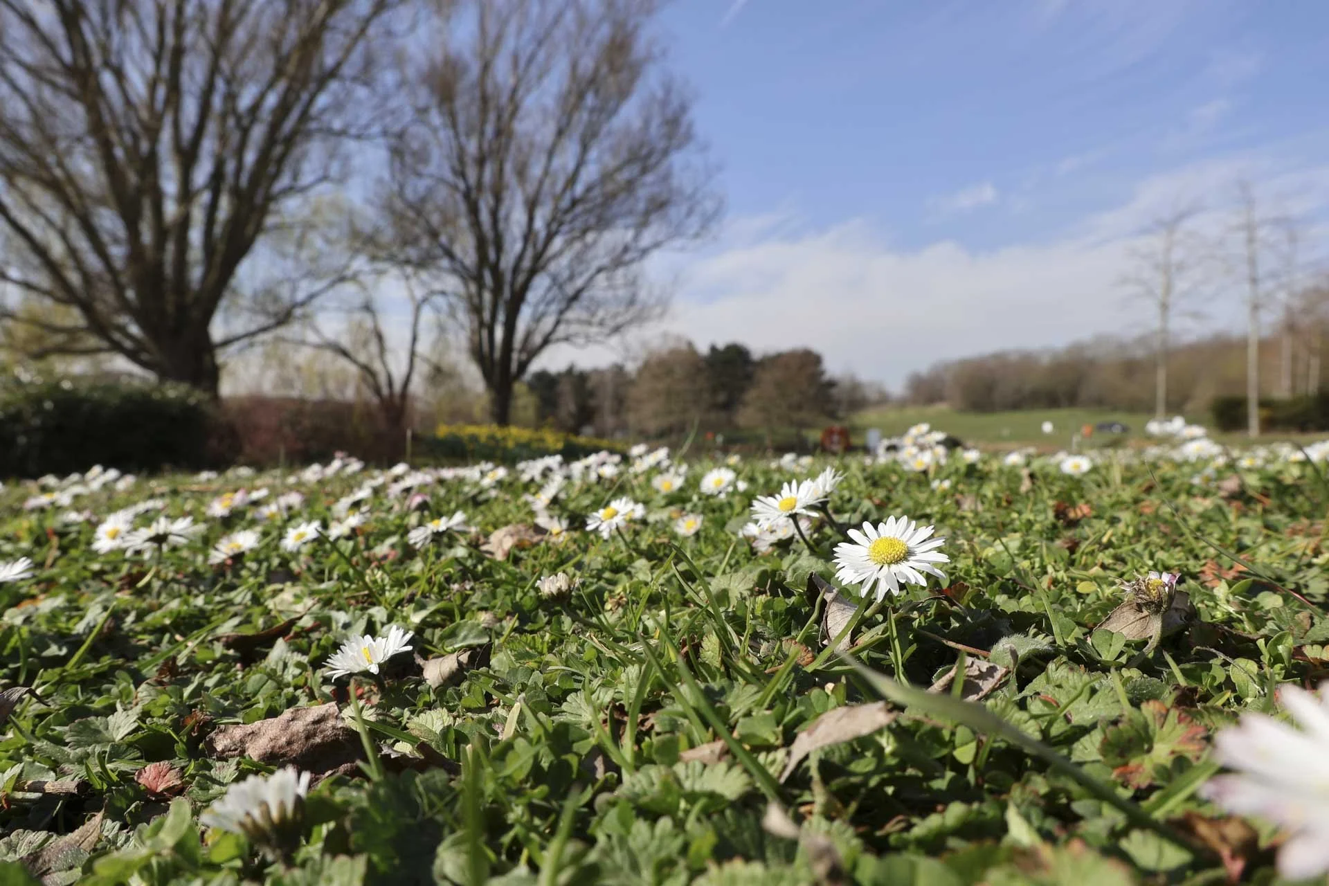 The vari-angle screen proves its worth for low-level shots like this. The focus point was selected with a tap of a finger. Image shot at 1/250 sec, f9 and ISO 100.