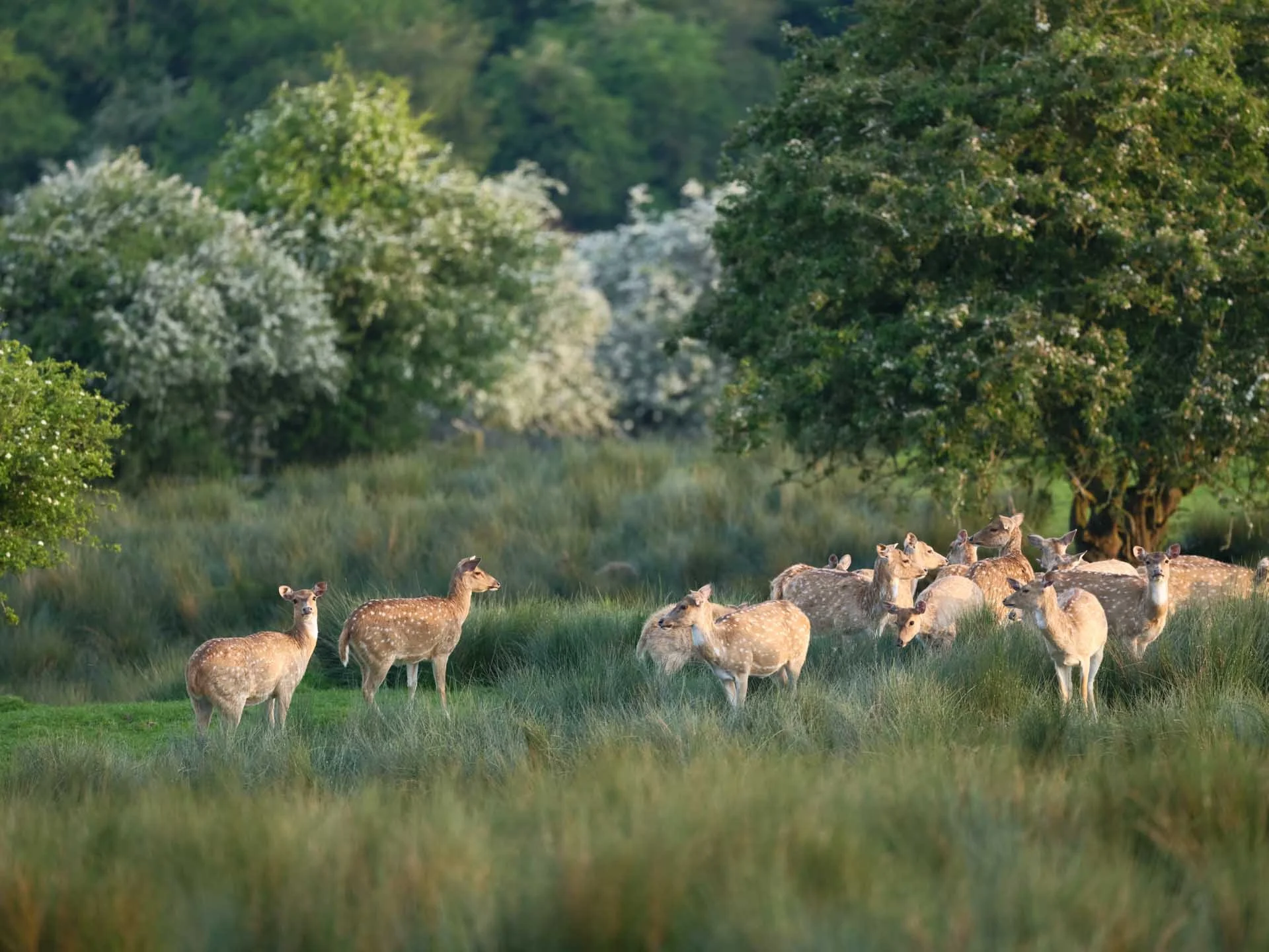 Image Credit: Angela Nicholson This image shows how shallow the depth of field is with the GF500mm F5.6 R LM OIS WR lens at maximum aperture.