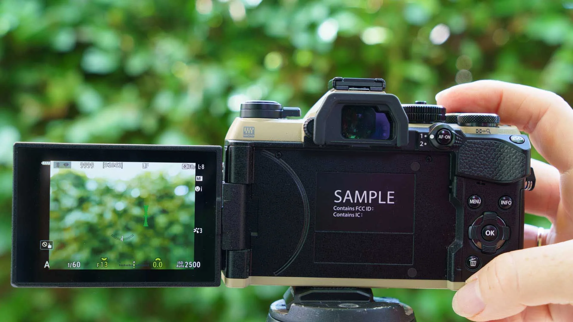  All of the controls on the rear of the OM System OM-5 II are within easy reach. 