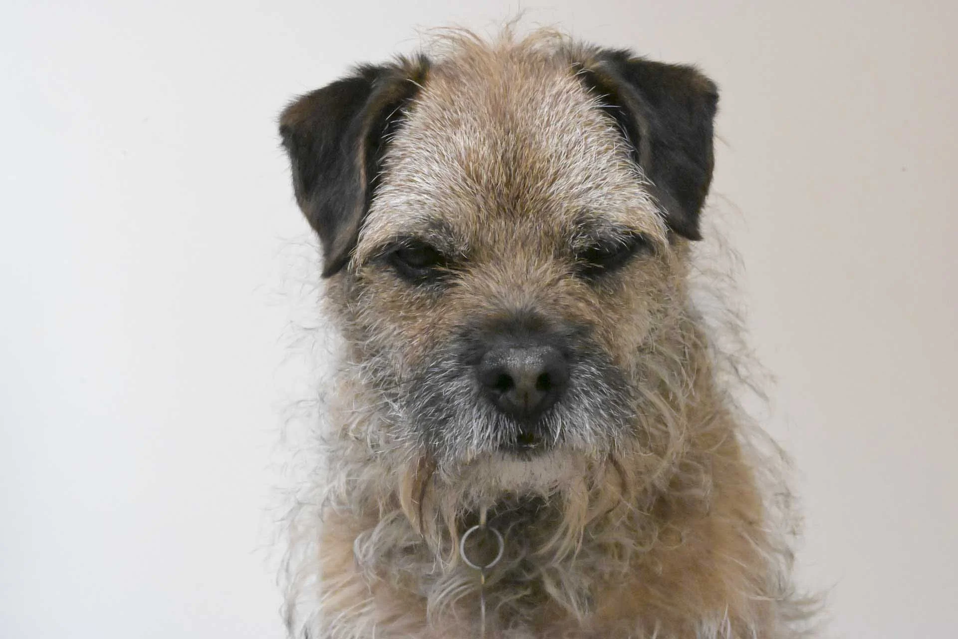  Image Credit: Angela Nicholson. This ISO 64000 JPEG image looks much softer than the simultaneously captured raw file. I recommend  taking a look at the full-resolution image  to see it more clearly, but you can also scroll down to the raw file below. Camera Z5II, lens Nikkor Z 85mm F1.2 at f/16, 1/200 sec and ISO 64000. 