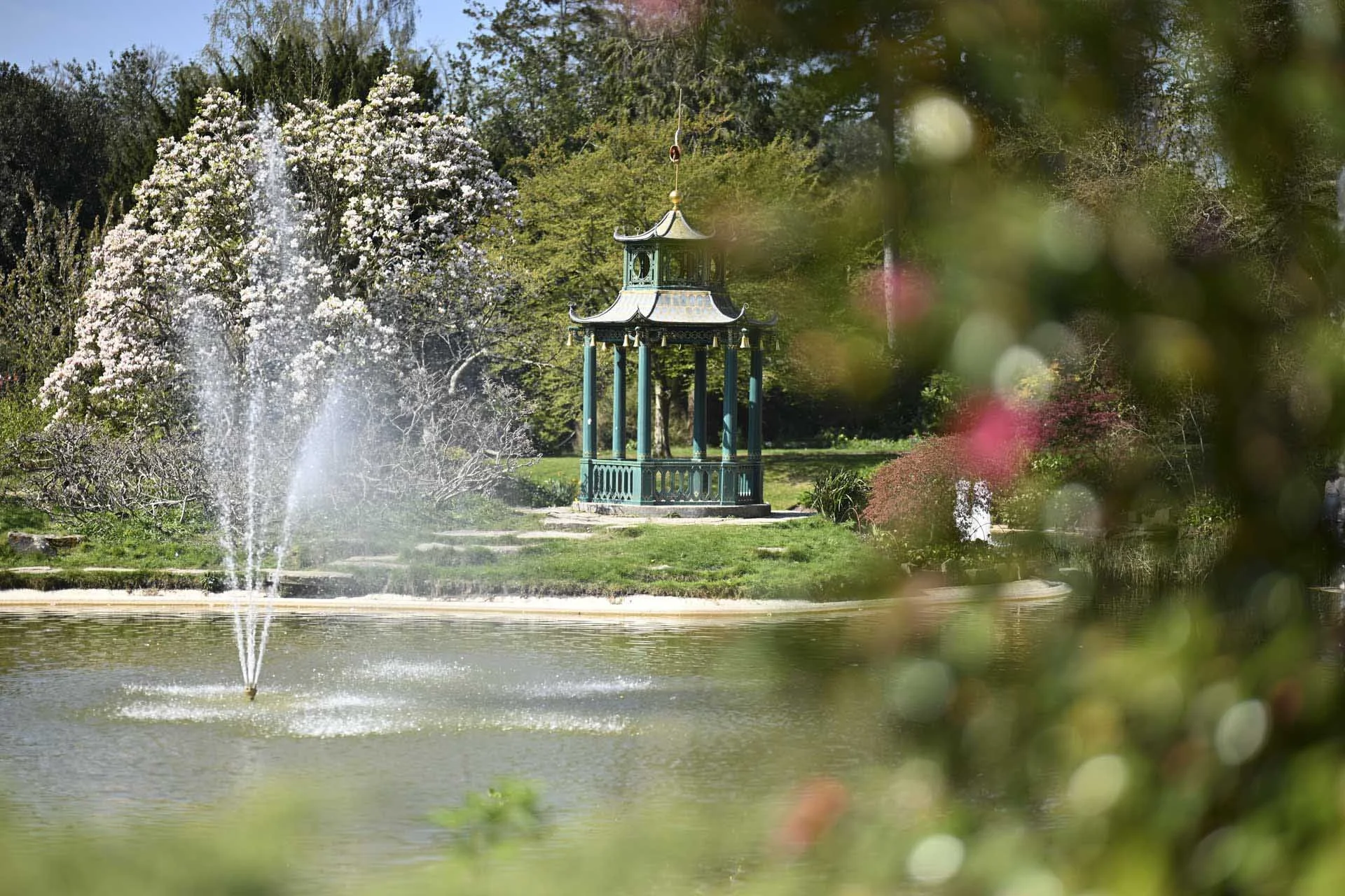  Image Credit: Angela Nicholson. The Nikon Z5II is a great choice of camera for everyday photography and days out. Camera Z5II, lens Nikkor Z 85mm F1.2 at f/1.2, 1/6400 sec and ISO 100. 