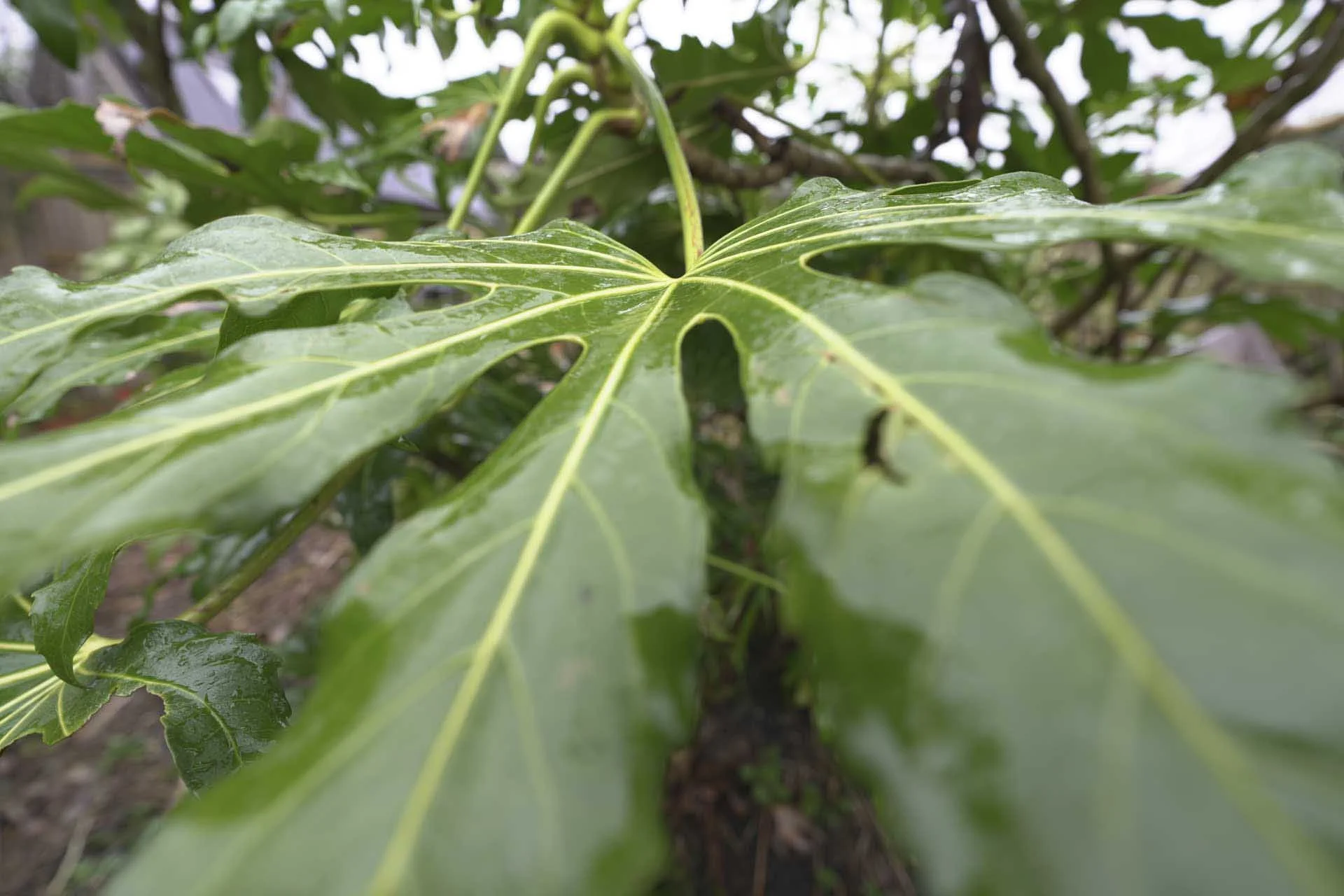  The ultra-wide-angle nature of the Sony FE 16mm F1.8 G can give image a more dynamic perspective. 