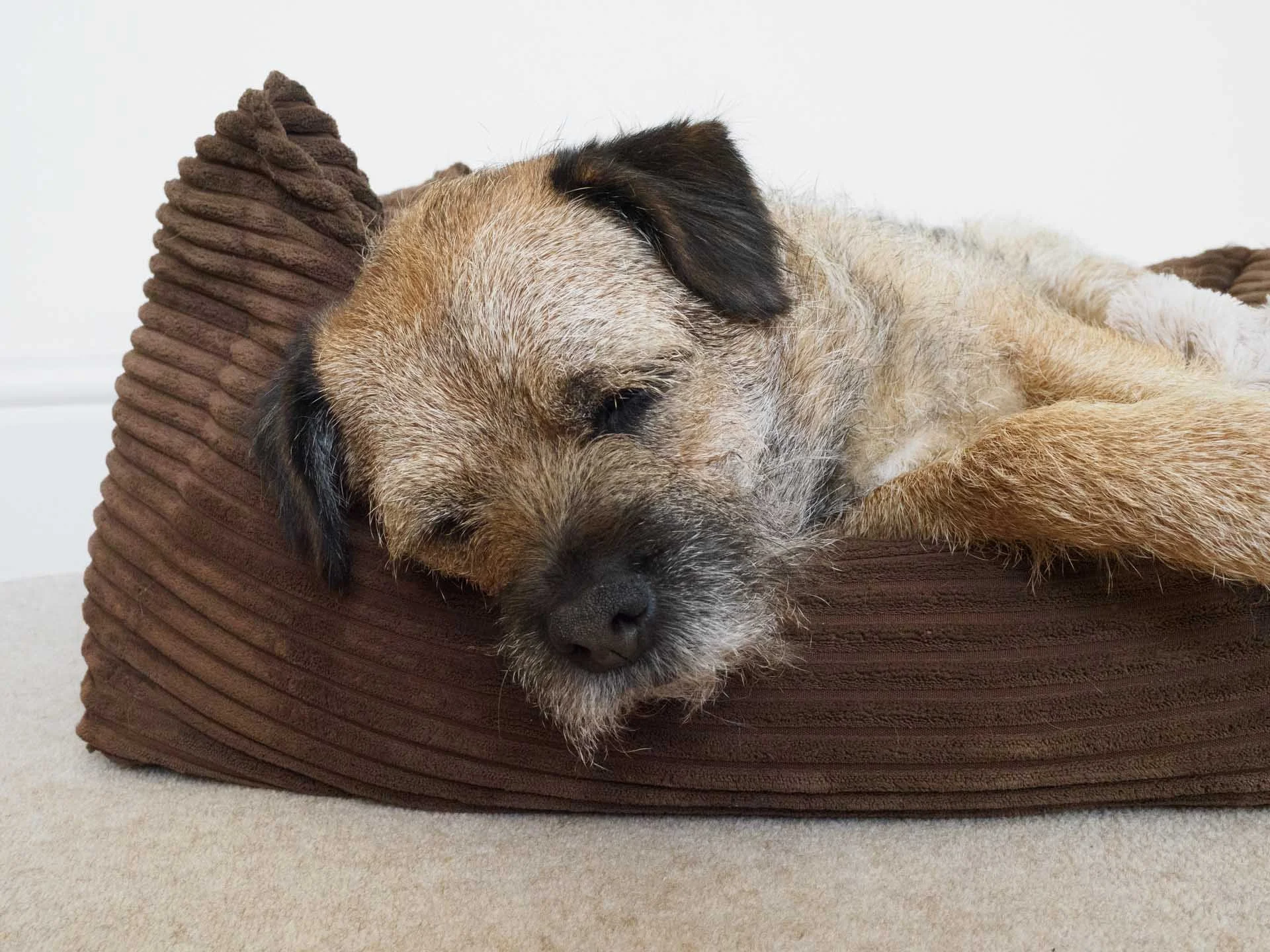  That detail level is maintained well in raw files, even up to ISO 6400. 