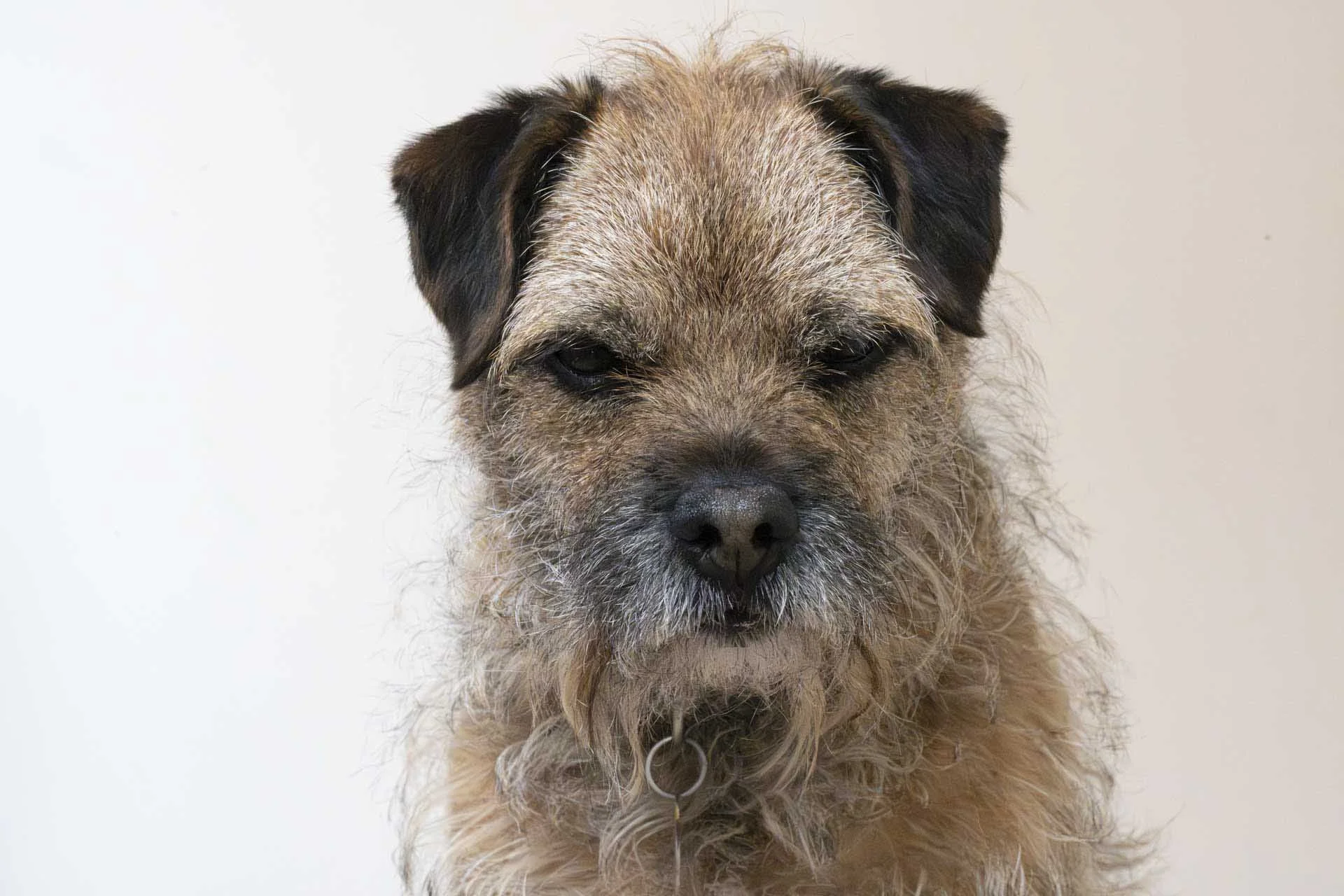  Image Credit: Angela Nicholson. This ISO 64000 image was created from a raw file that has been treated with the AI noise reduction in Adobe Camera Raw. I recommend  looking at the full-resolution image  to see it more clearly. Camera Z5II, lens Nikkor Z 85mm F1.2 at f/16, 1/200 sec and ISO 64000. 