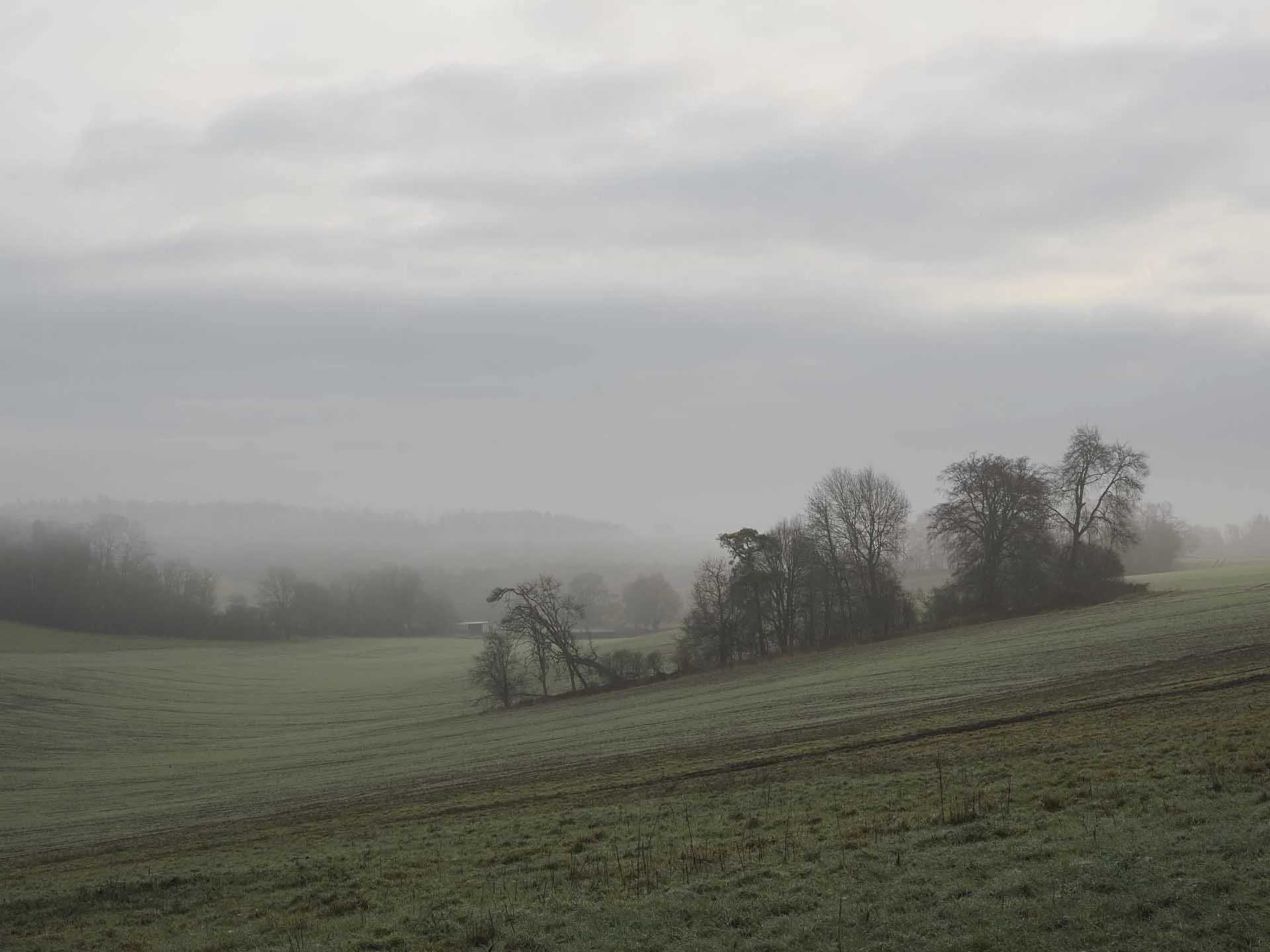  I could see in the viewfinder that the OM-3 was recording the tonal gradations in the sky without losing the detail of the foreground in this misty landscape. 