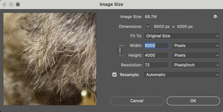 Camera Resolution Explained — SheClicks