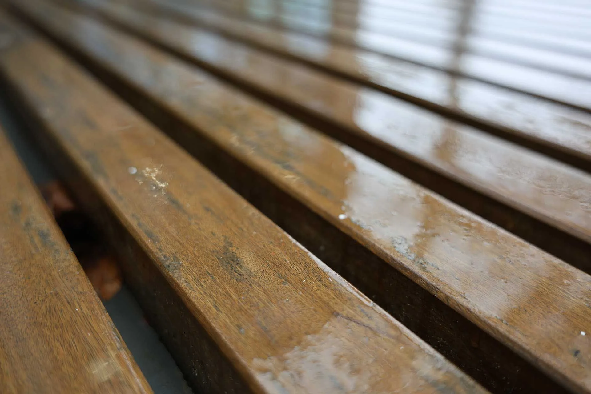 Image credit: Angela Nicholson. Even at the 28mm end, depth of field can be limited by shooting close with the maximum aperture.. Image data: 28mm on the Canon RF 28-70mm F2.8 IS STM at f/2.8, 1/80 sec, ISO 250.