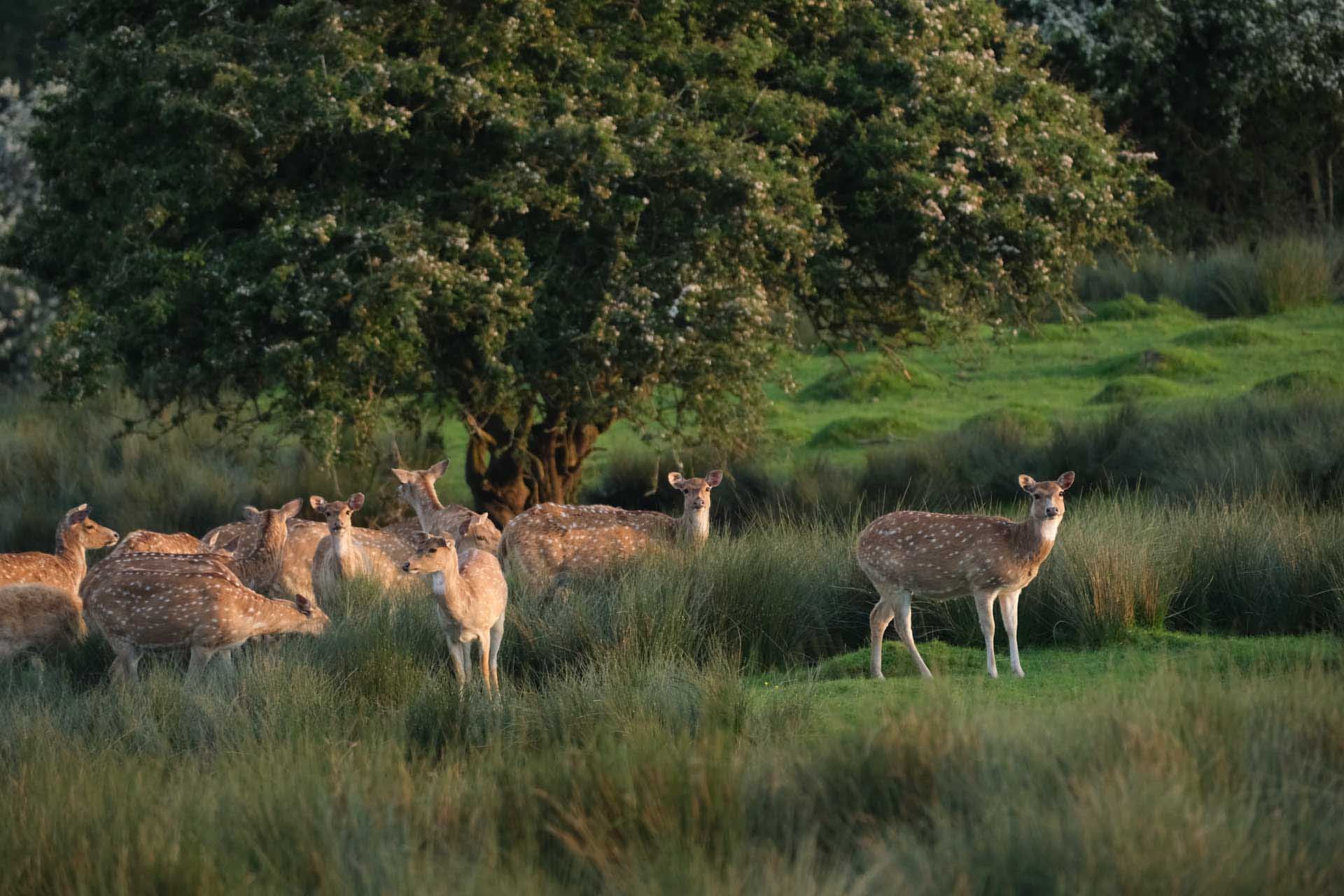 Image Credit: Angela Nicholson Another subject that the subject detection system was quick to latch onto.