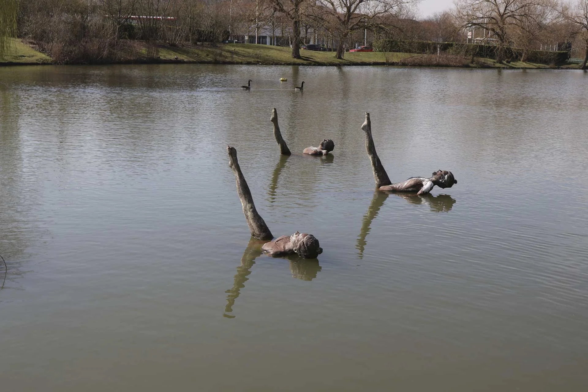 The Canon R50 V’s Evaluative Metering system has coped well with the reflective water here. Image shot at 1/200 sec, f9 and ISO 100.