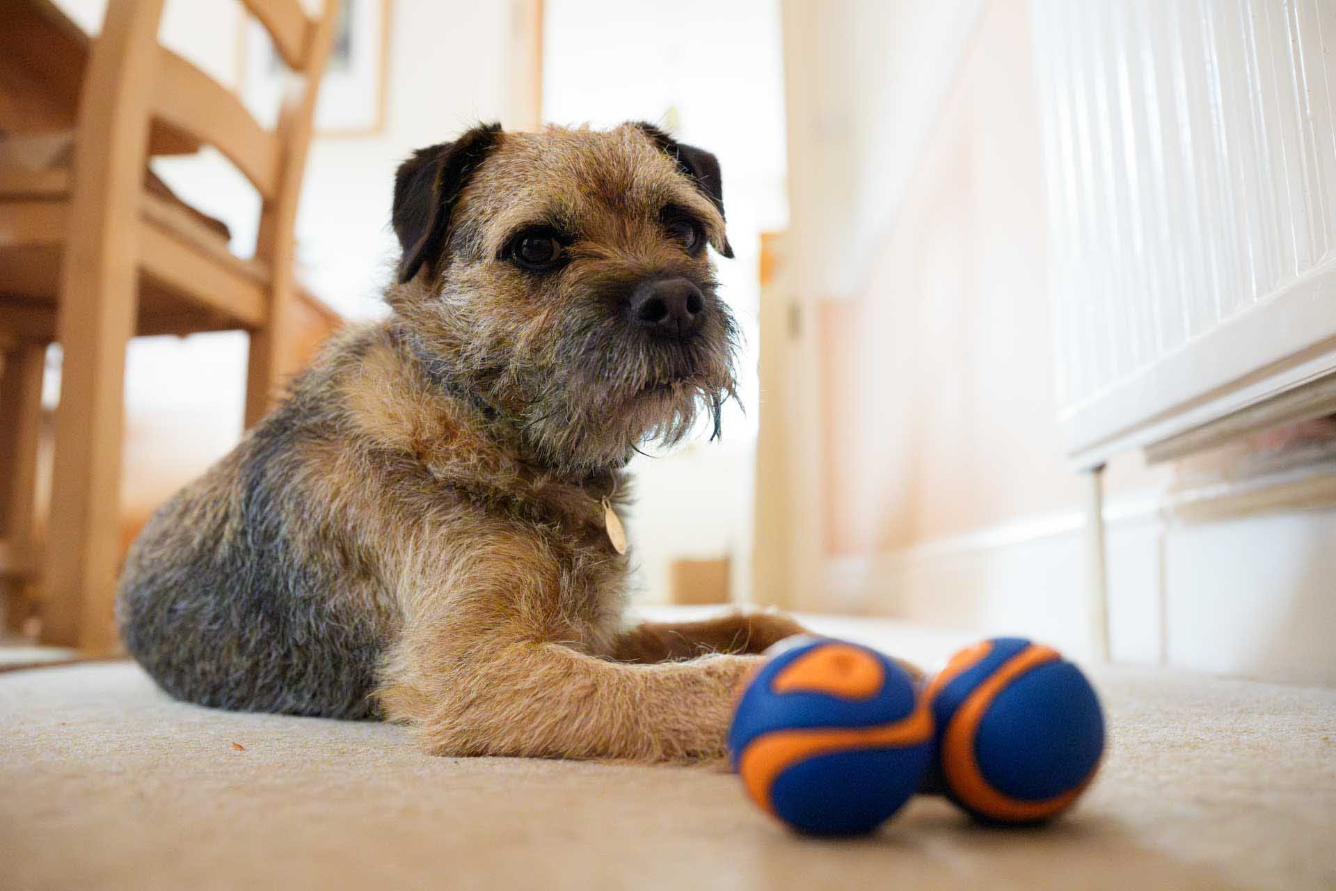 Adobe Camera Raw's AI Noise reduction system has done a great job of removing the noise in the ISO 25,600 while preserving the detail.