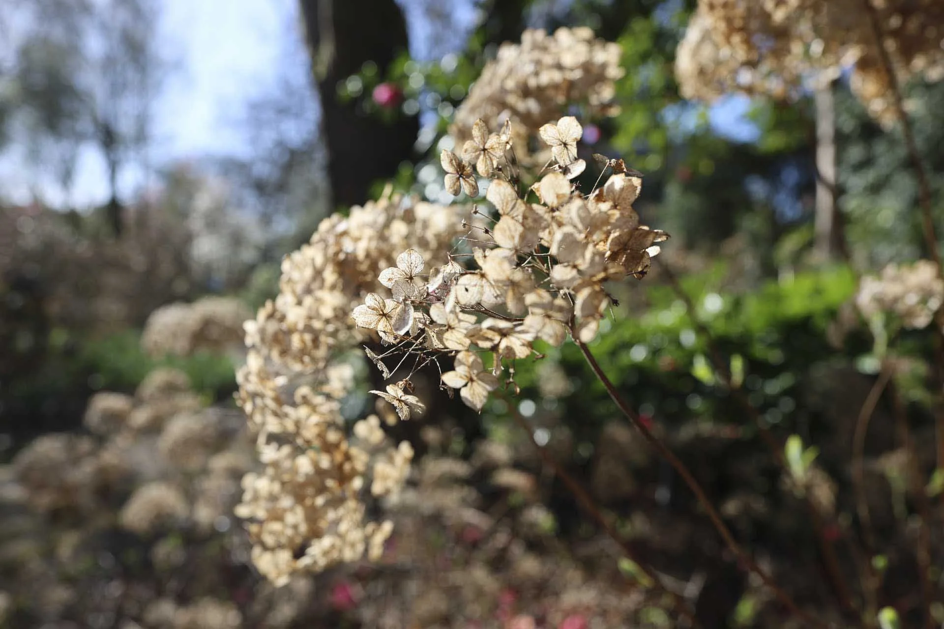  Image Credit: Angela Nicholson. The wide-angle of view allows you to put subjects in context while the wide aperture settings enable significant background blur. Camera: Canon EOS R6II, lens: Canon RF 24mm f/1.8 Macro IS STM at f/5.6, 1/250 sec and ISO 100. 