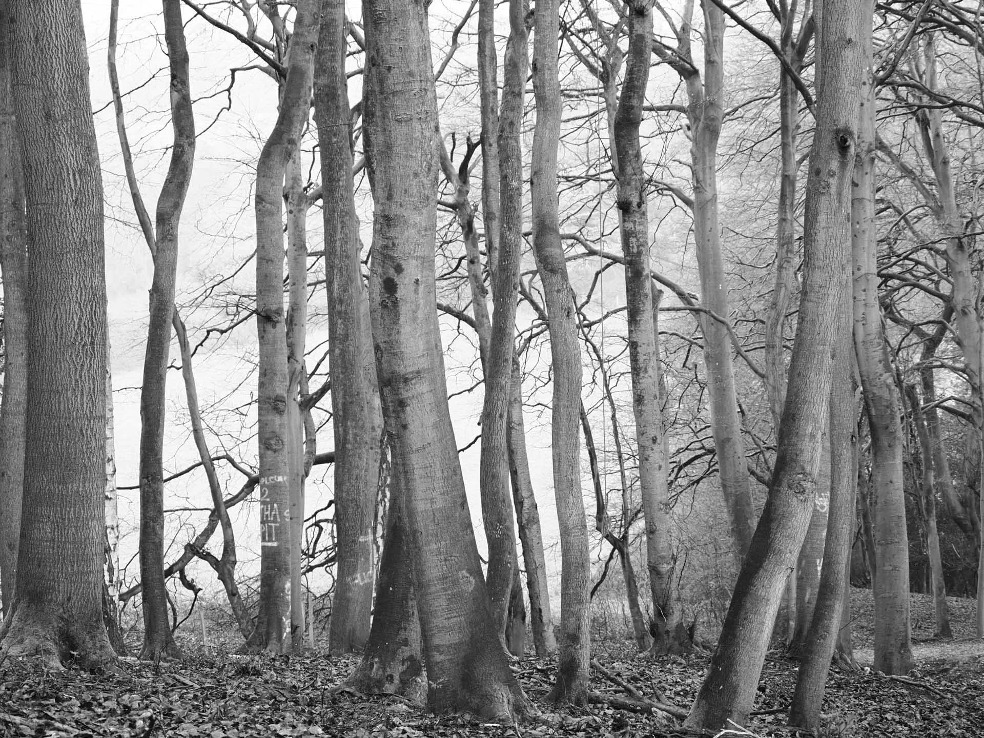  Thanks to the colour profile dial, you can switch quickly between shooting in colour and monochrome. 