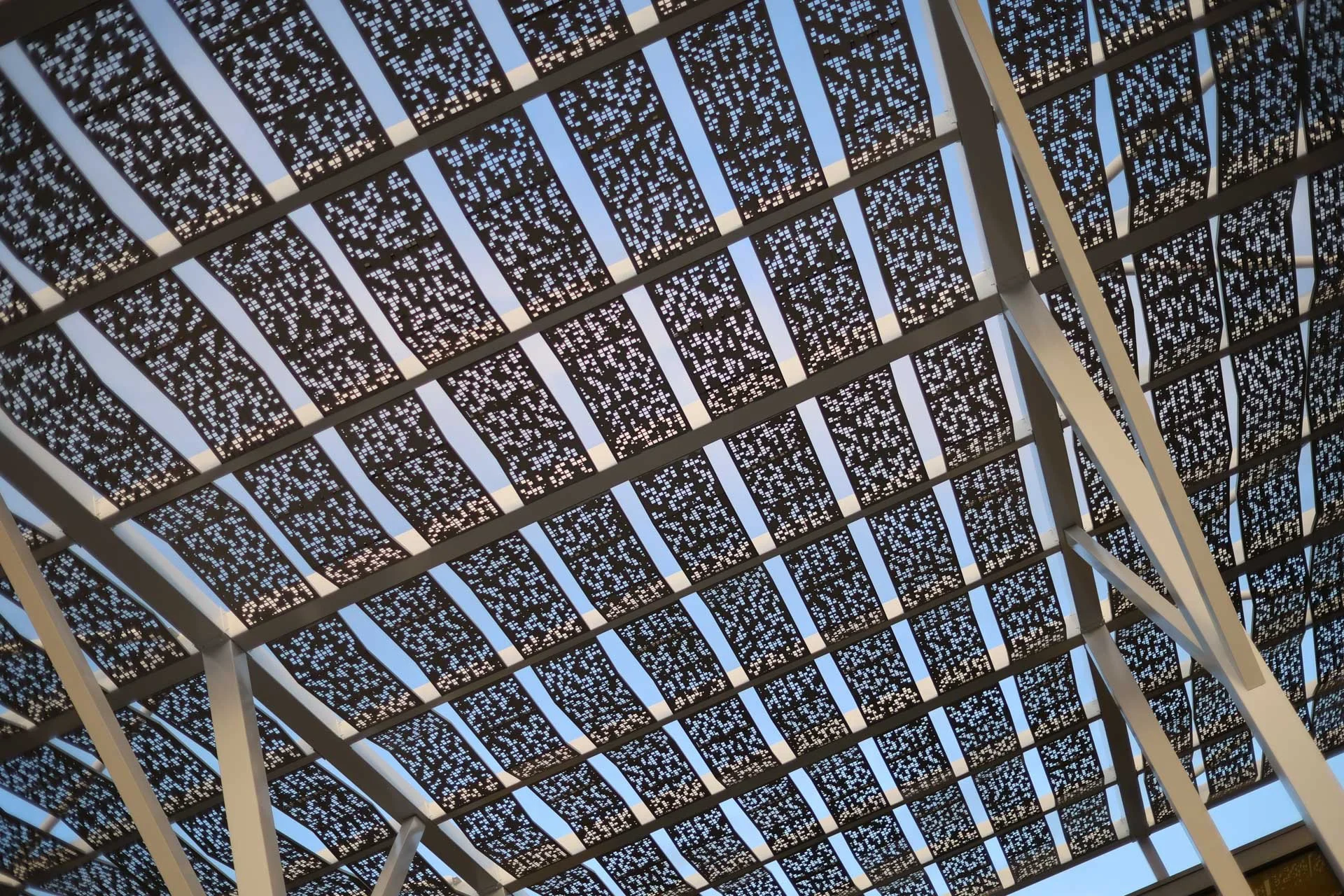 There’s no signing of coloured fringing along the high contrast edges of this image. Image Credit: Angela Nicholson, camera: Canon EOS R6 Mark III, lens: Canon RF 45mm F1.2 STM at f/1.2, 1/1600 sec and ISO 100.