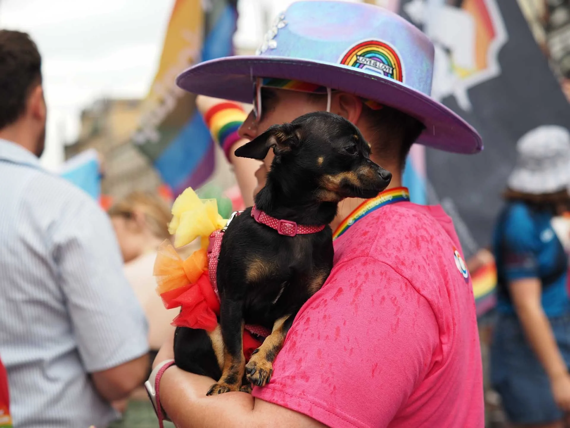  In the absence of subject detection, I used a small AF point to get the focus on the dog’s eyes. 