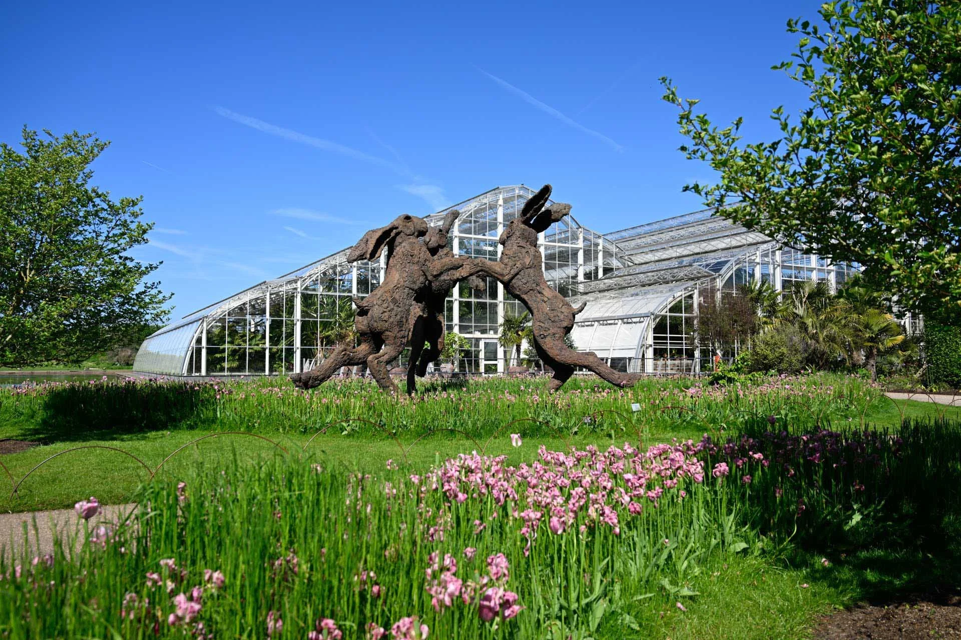  Image credit: Angela Nicholson. The Standard Picture Control Mode produces vibrant colours. Camera: Nikon Z8, Lens  Z 24-70mm F2.8 S, shutter speed, 1/125 sec, aperture f/5.6, ISO 100. 