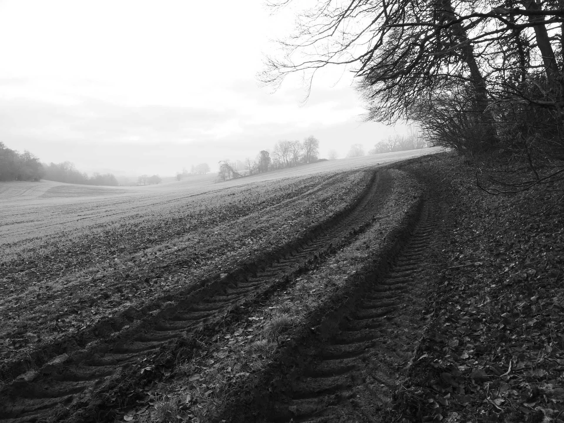  This image require 0.7EV positive exposure compensation to bring out the dteail of the dark foreground below the bright but overcast sky. 