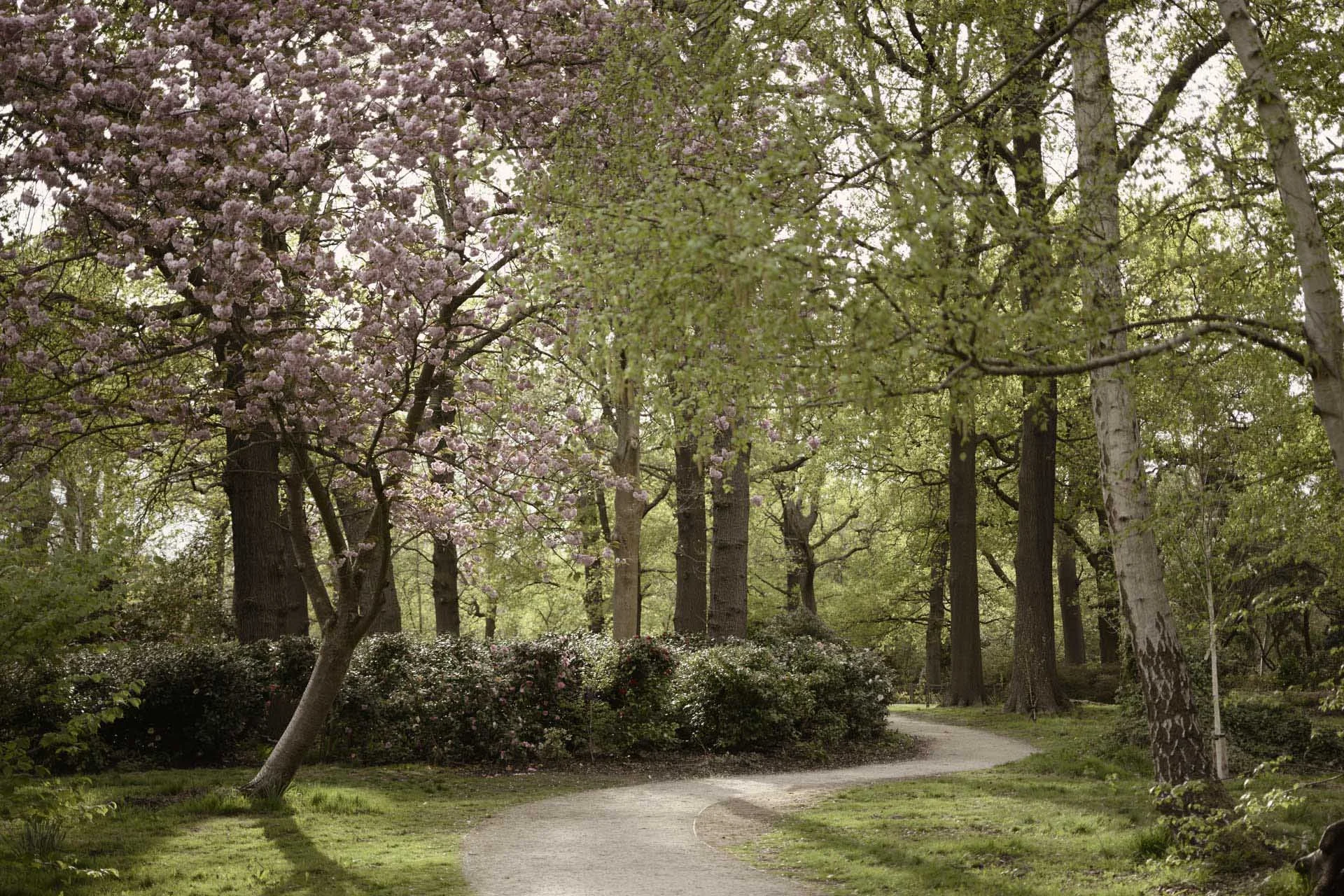  Image Credit: Angela Nicholson. Another image shot with the Picture Control set to Sepia setting at 50%.  Camera Z5II, lens Nikkor Z MC 50mm F2.8 VR at f/6.3, 1/200 sec and ISO 100. 