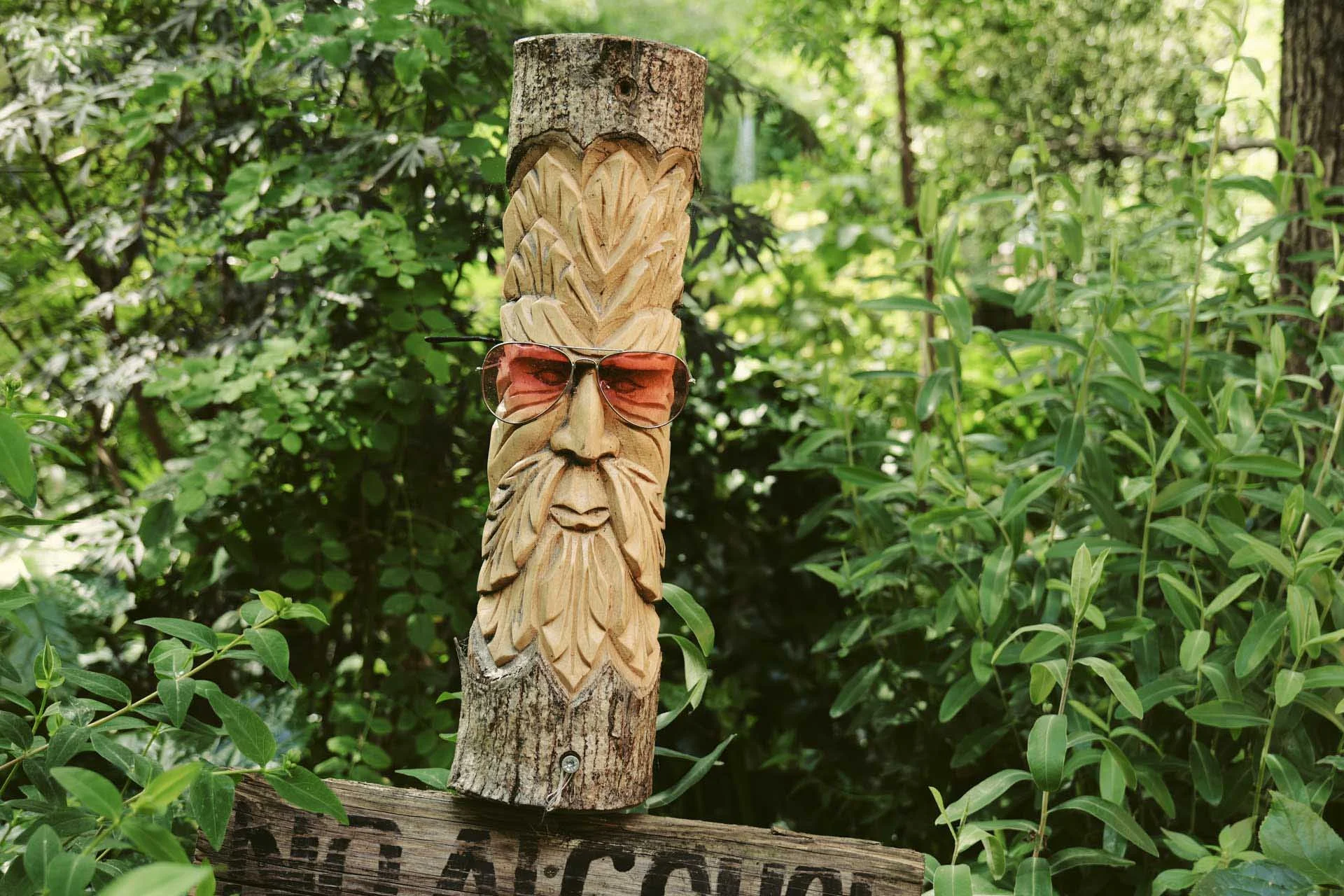 Image Credit: Angela Nicholson (using a custom LUT). Another example of the excellent level of detail captured by the Panasonic S9 and its ability to isolate subjects from the background.