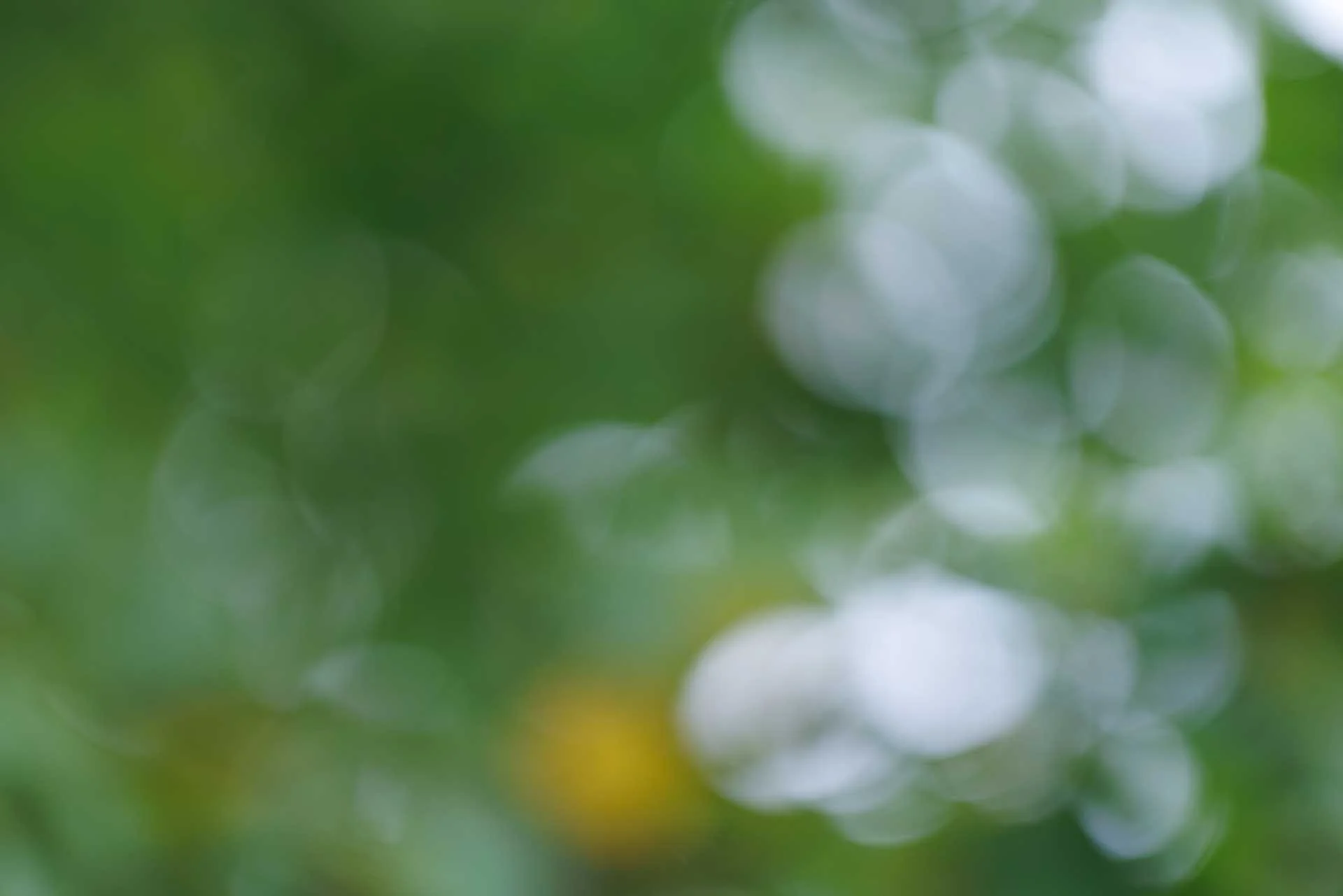 Out of focus highlights