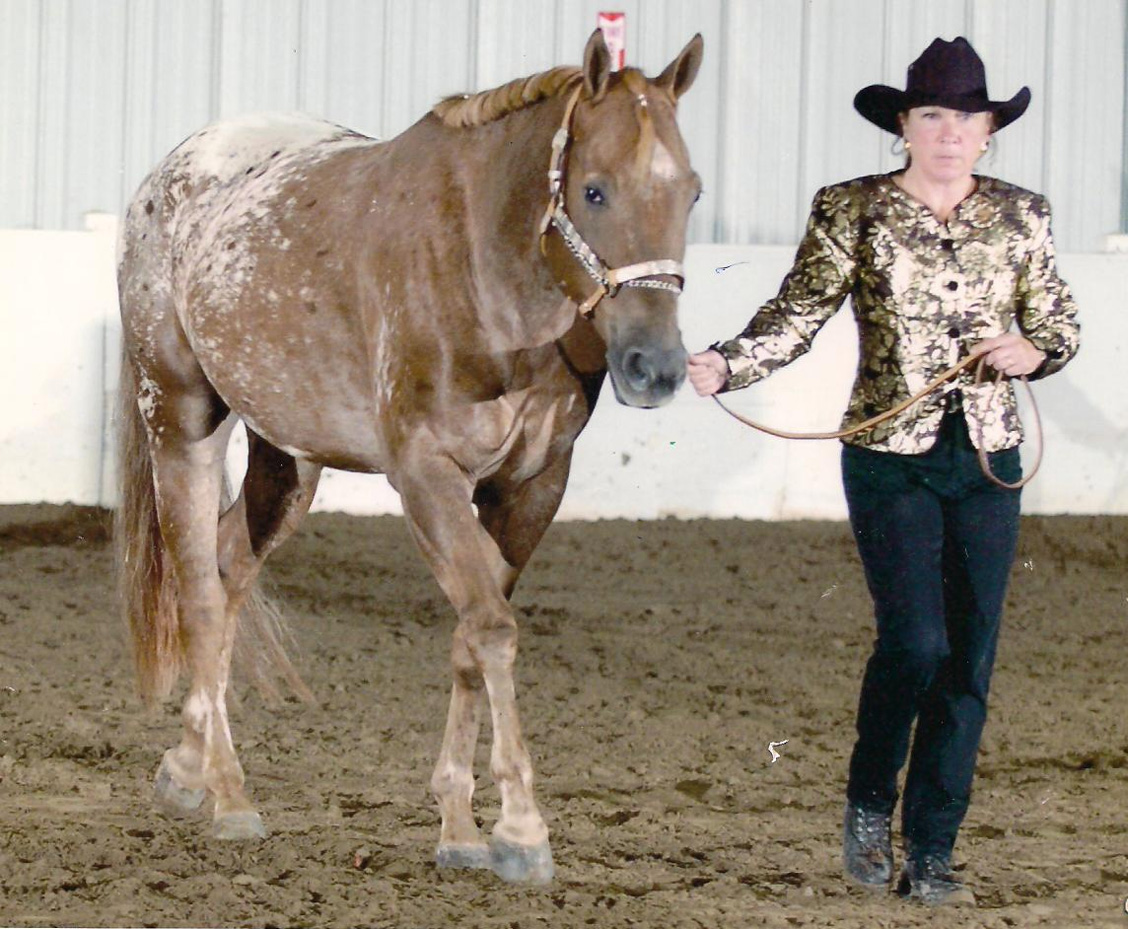 magnum in 2008.jpg
