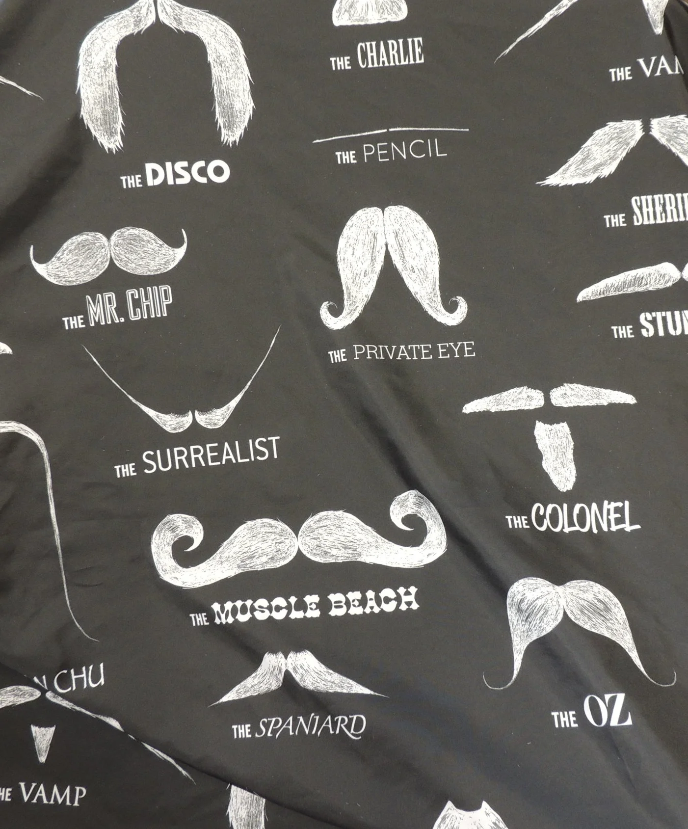 BS+beards.jpg