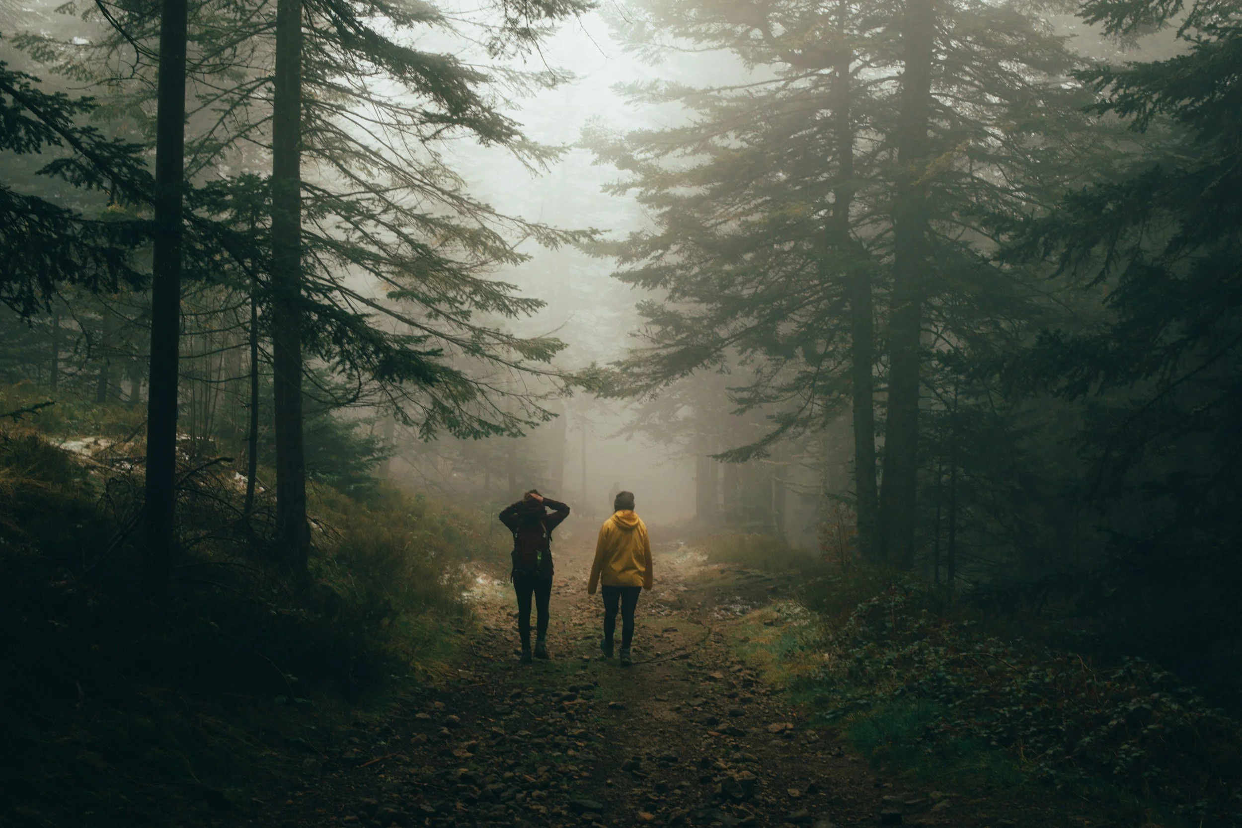 unsplash-image-Of0YLtllB0M.jpg