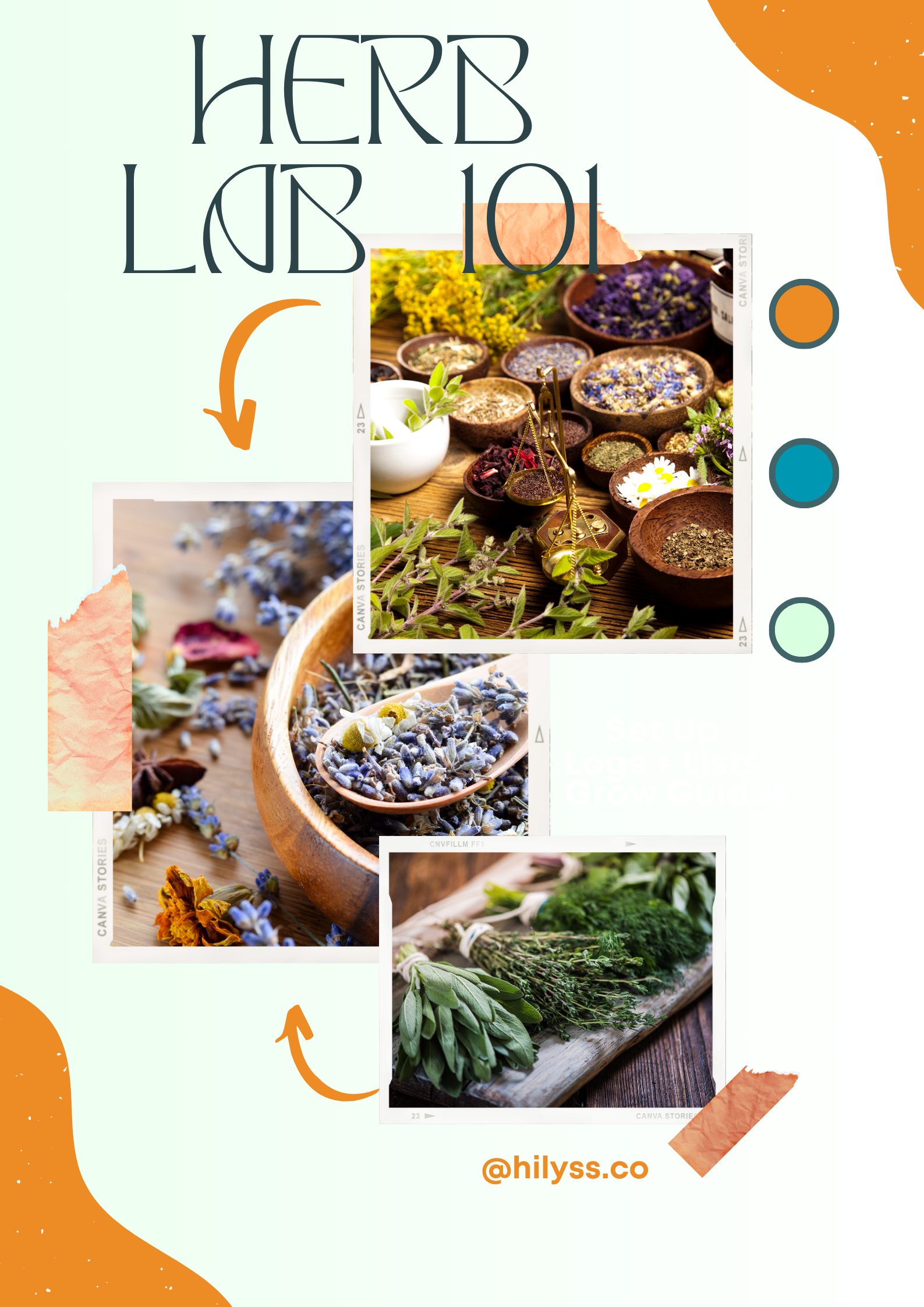 Herb Workbook