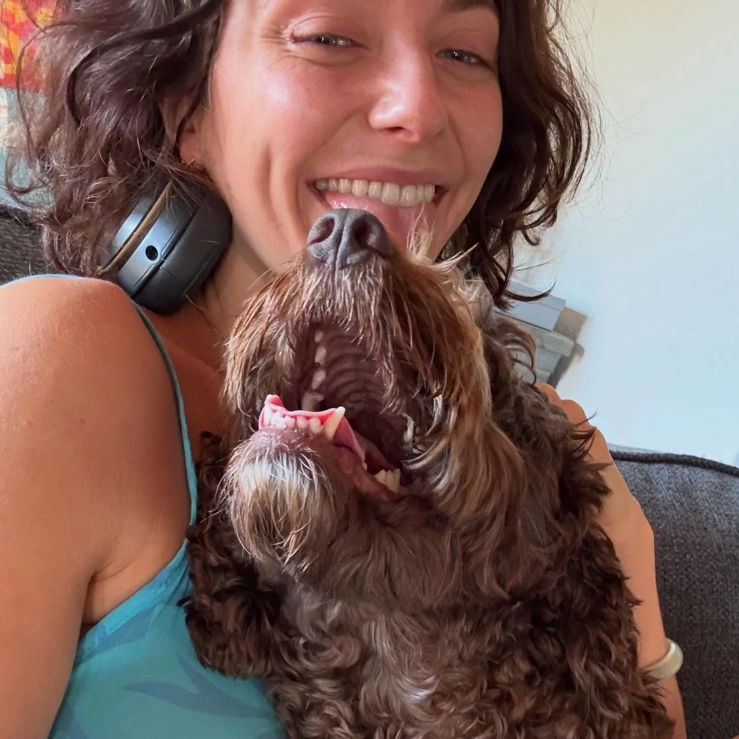 Who remembers @junebugthepoo