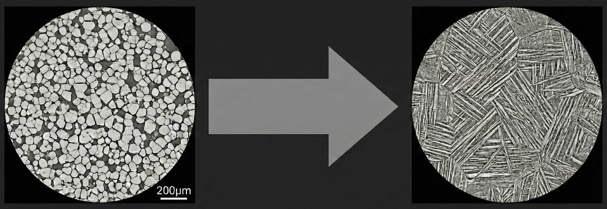 Titanium Microstructure Evolution