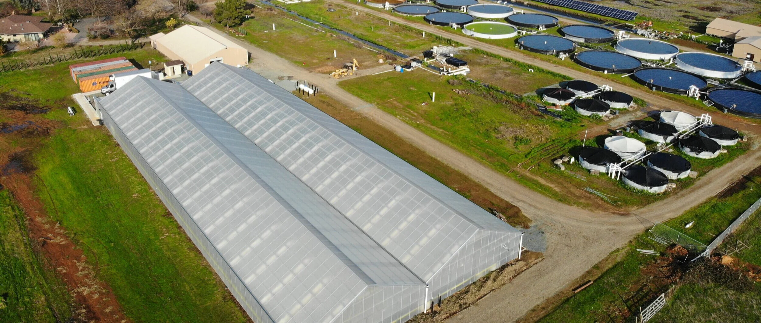 About Tsar Nicoulai Caviar — Tsar Nicoulai Caviar Buy American Sustainable Caviar