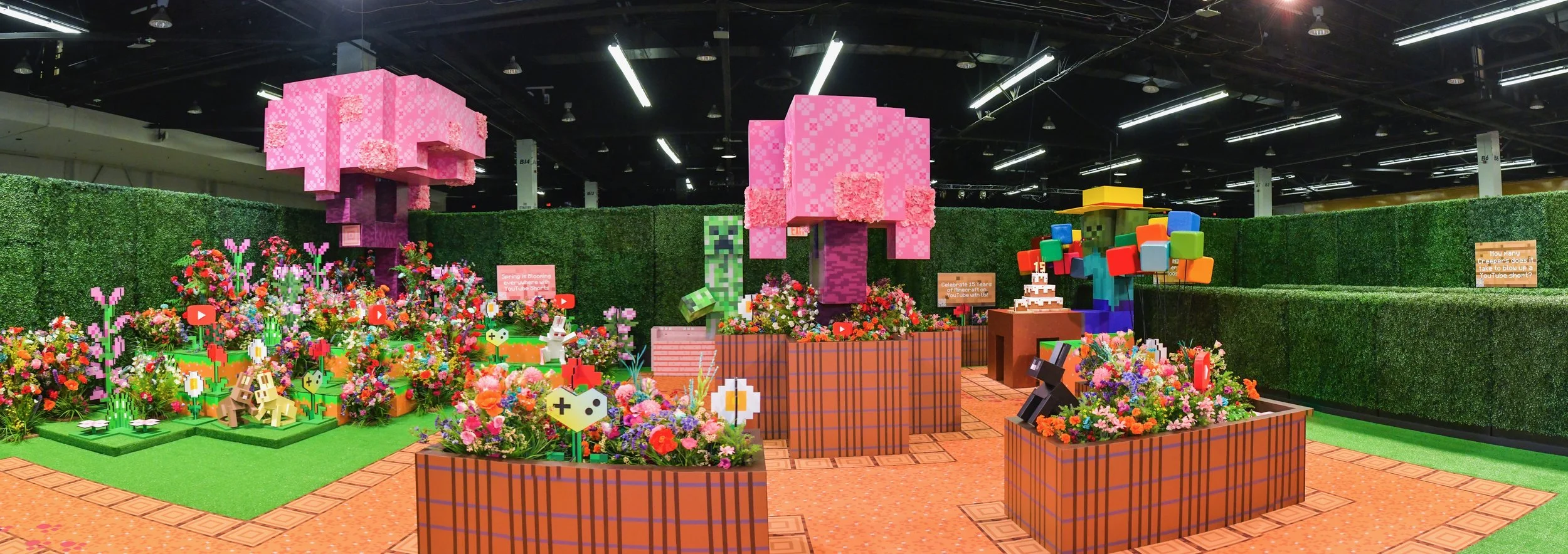 Opening morning panorama.JPEG