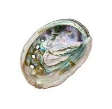 508033D7-3310-4732-BACD-8A954487522F