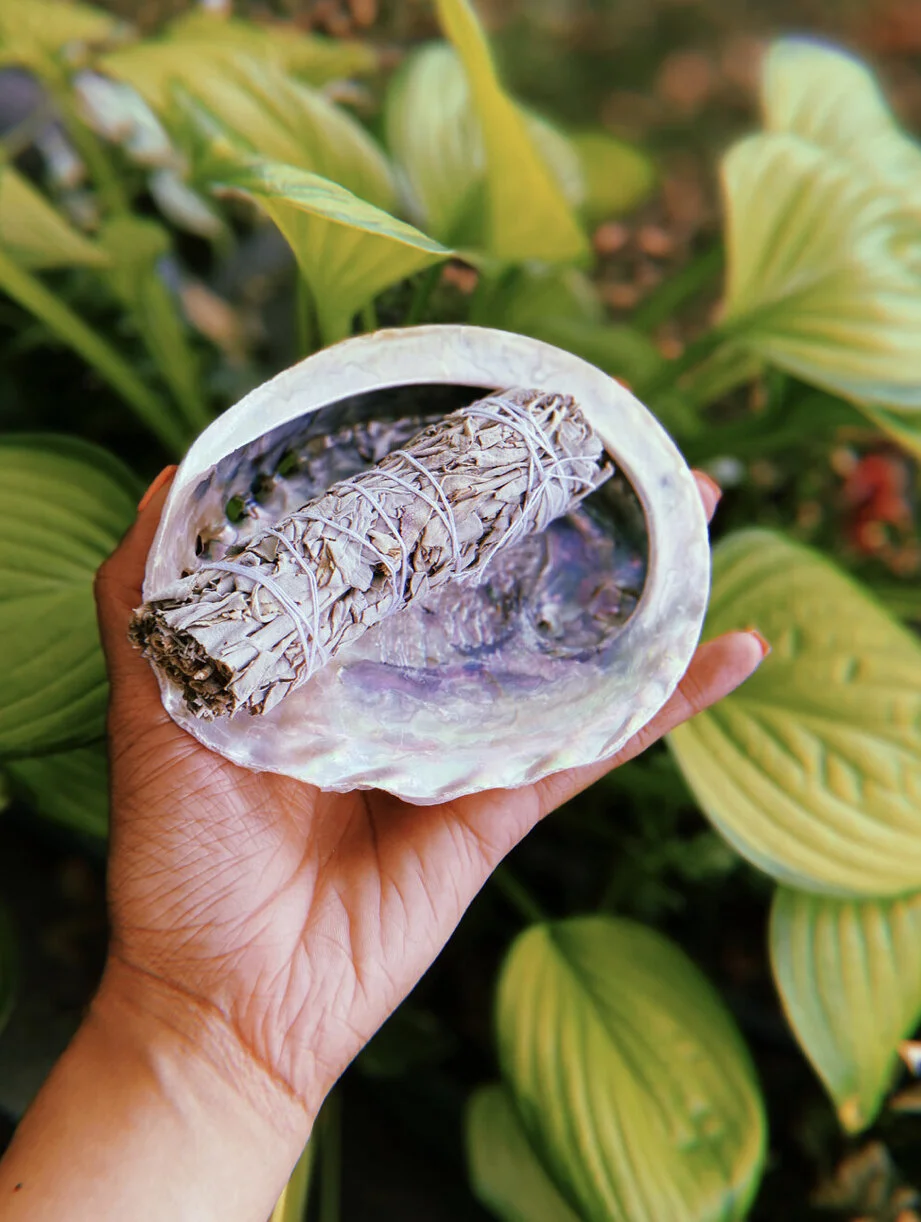 C37B73F8-8A08-4331-9170-5140146A1AD5