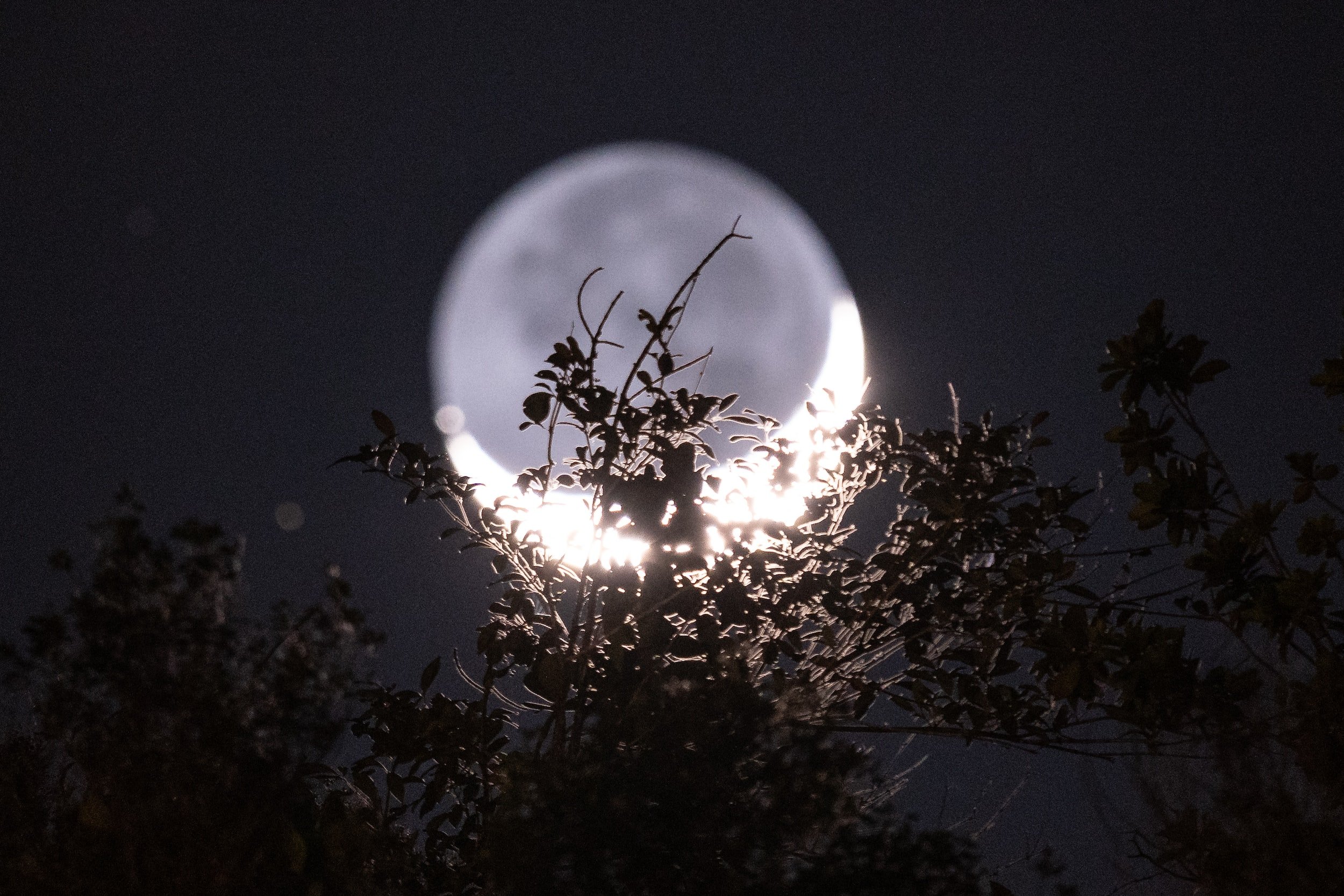 Lune