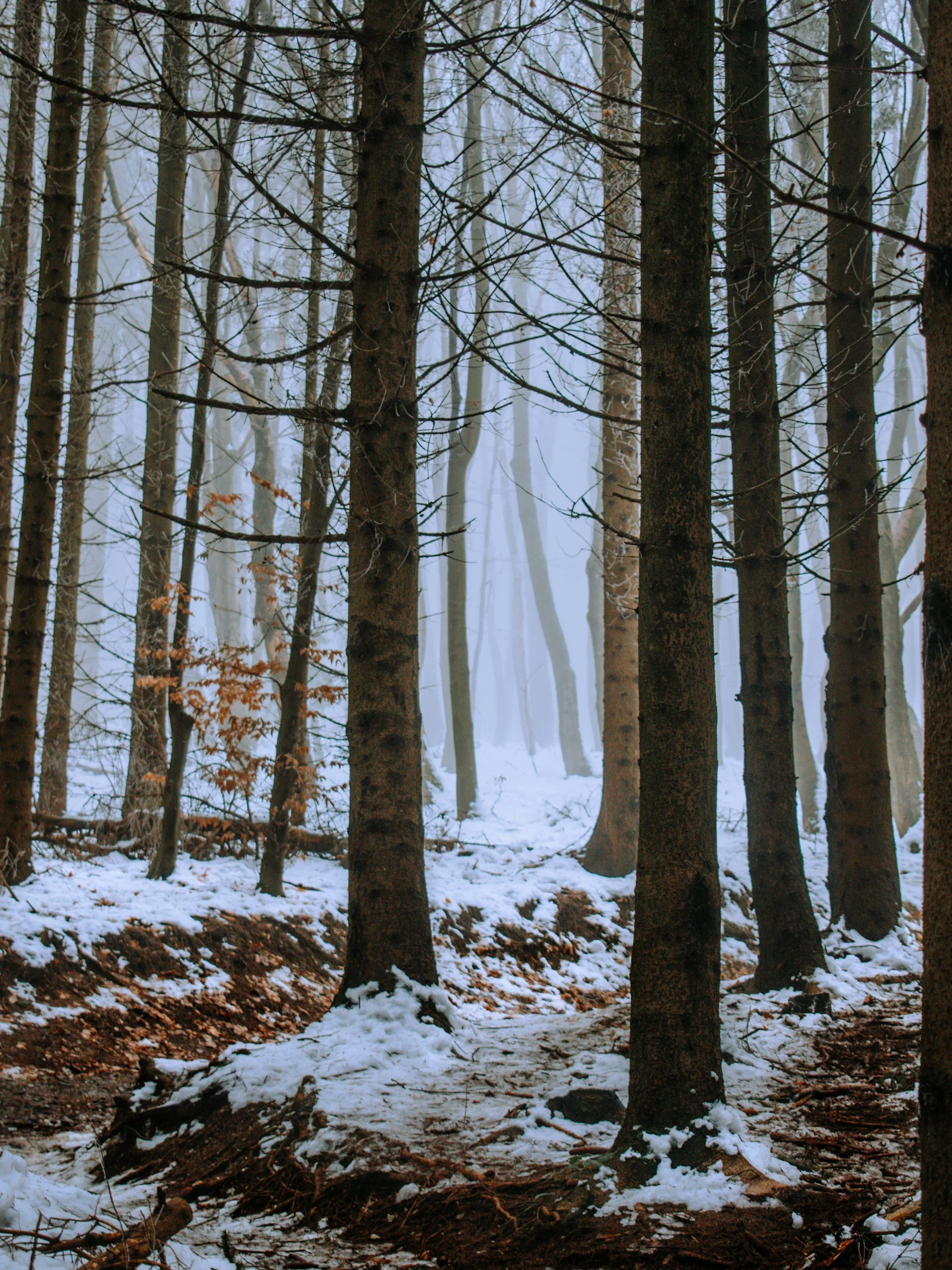 Hiver