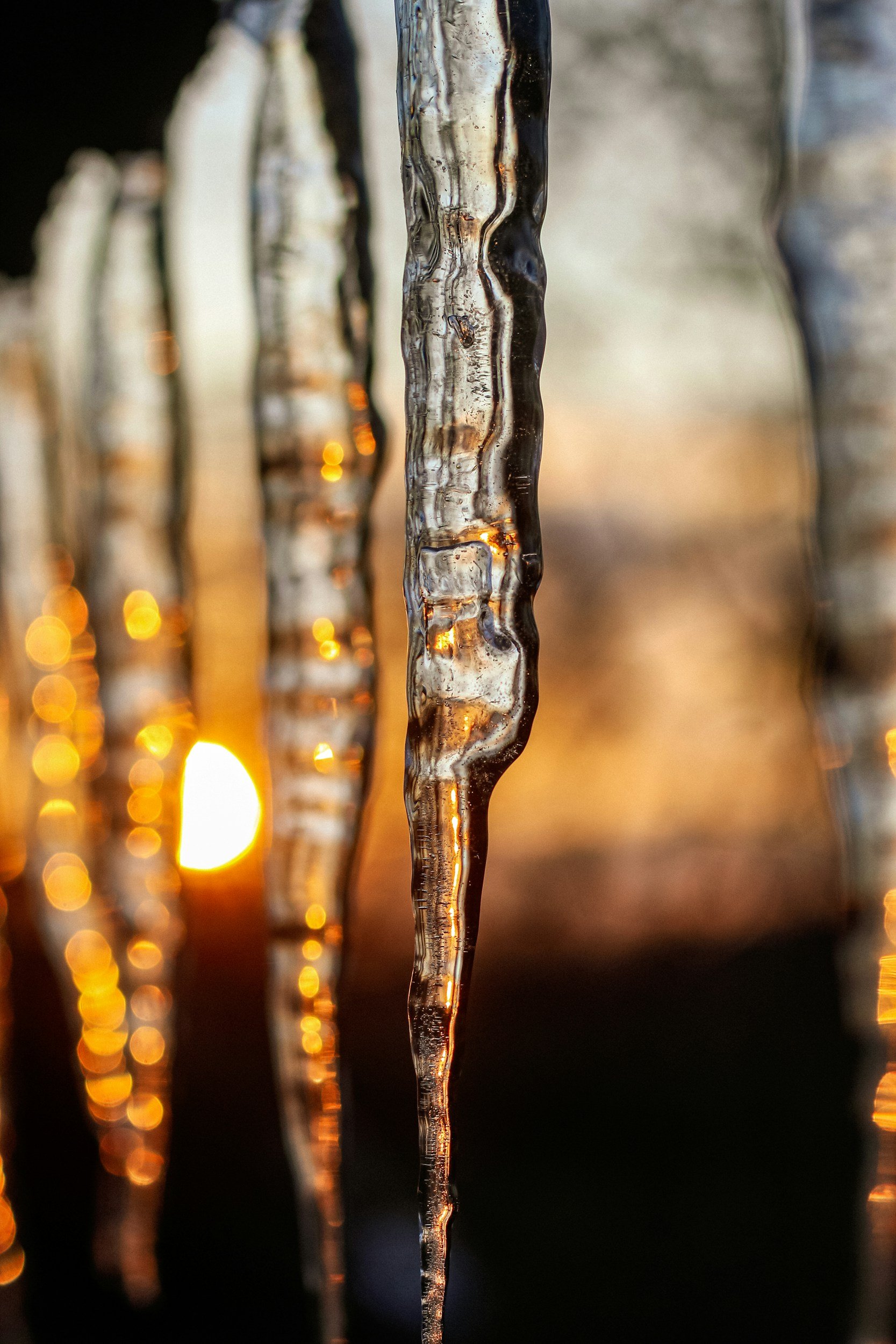 Soleil d'hiver