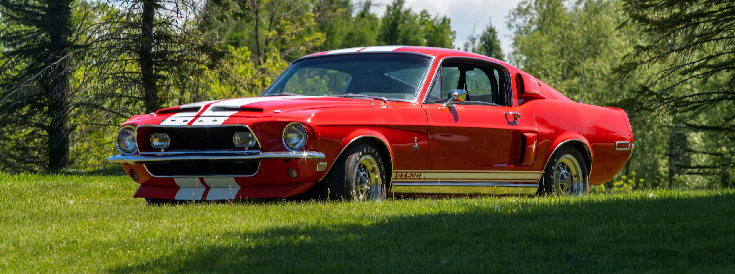 Collector Cars & Motor Bikes | The Colton Collection