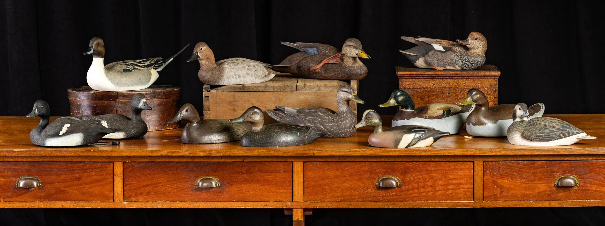 Decoys | October 29