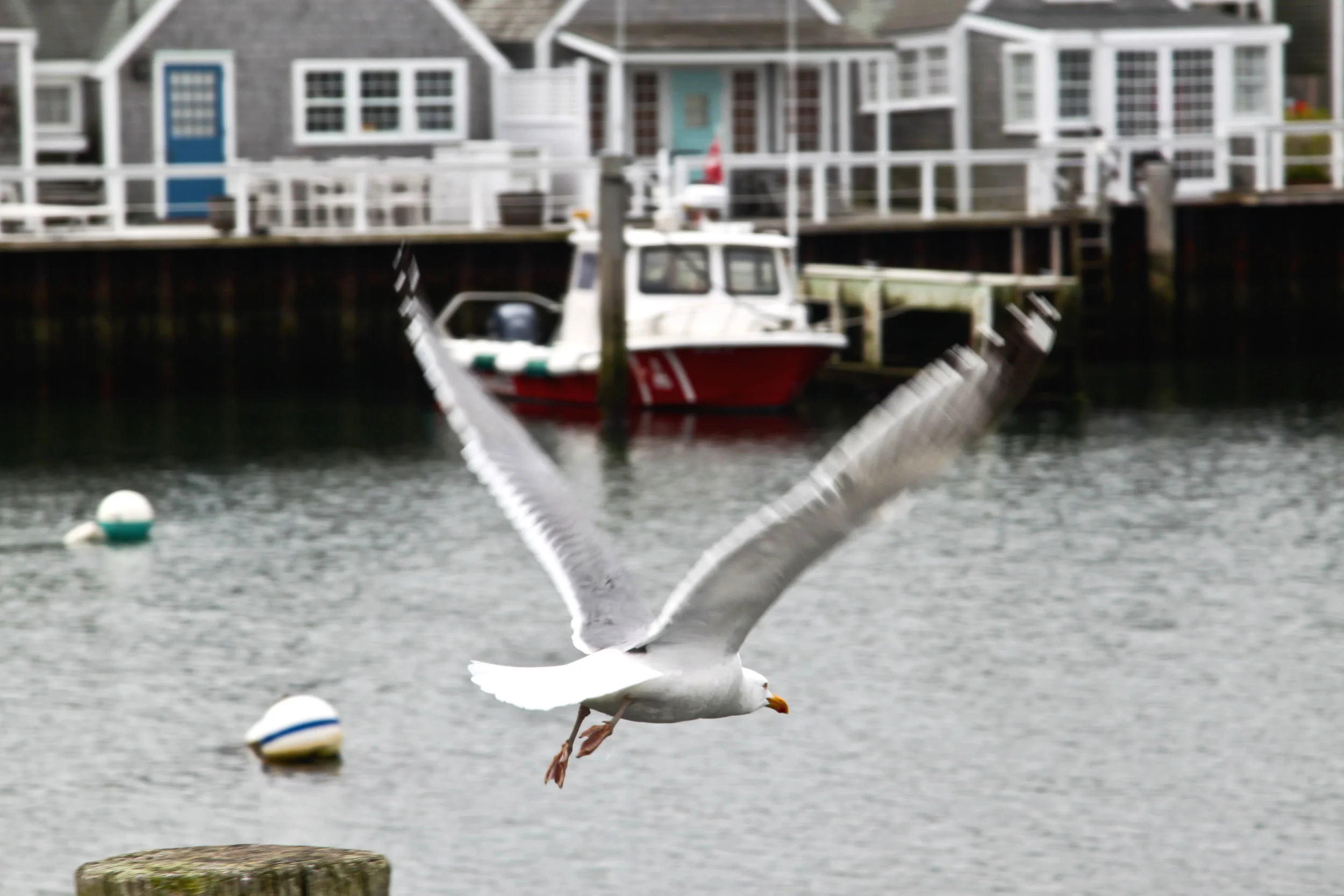IMG_6746-1.jpg