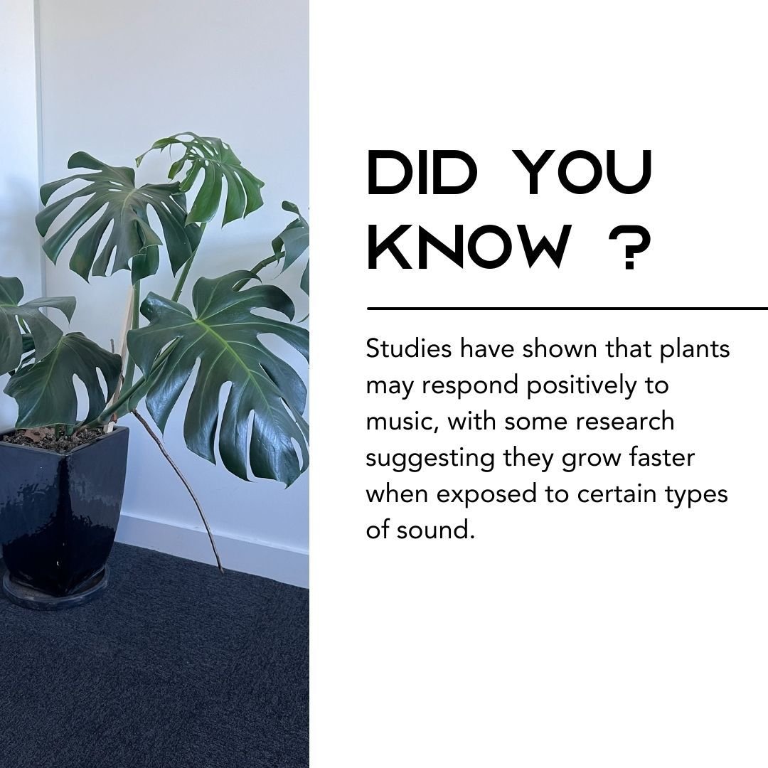 Fun fact Friday :D