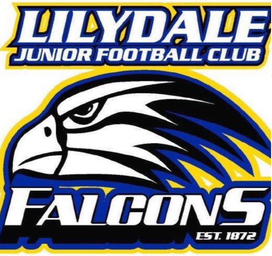Lilydale Junior Football club Falcons logo