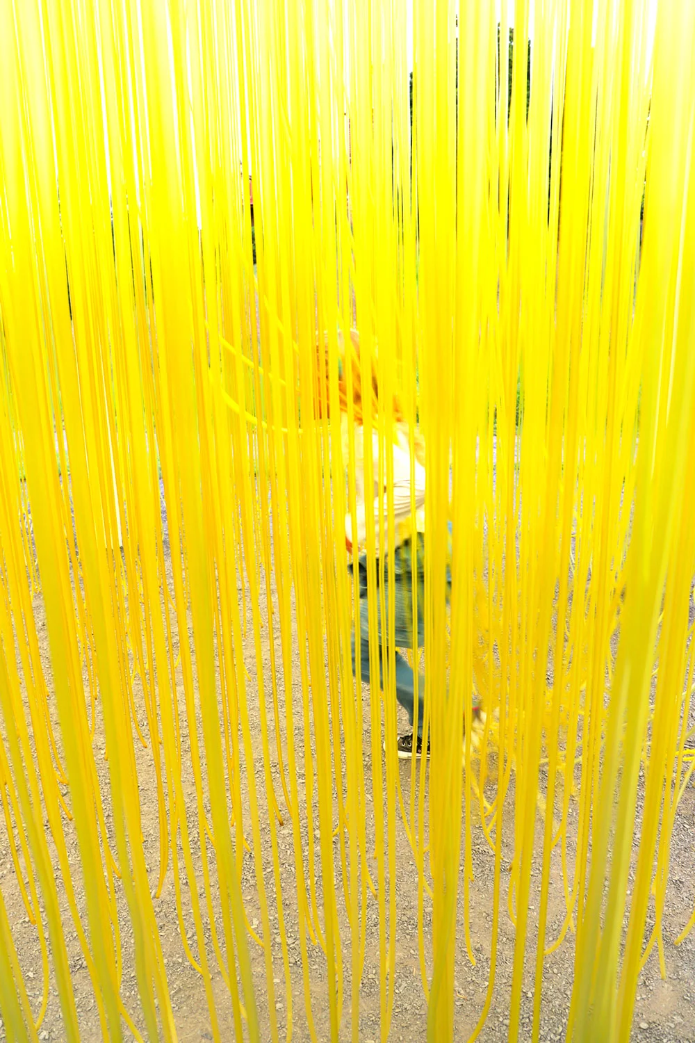 yellow-girl.jpg