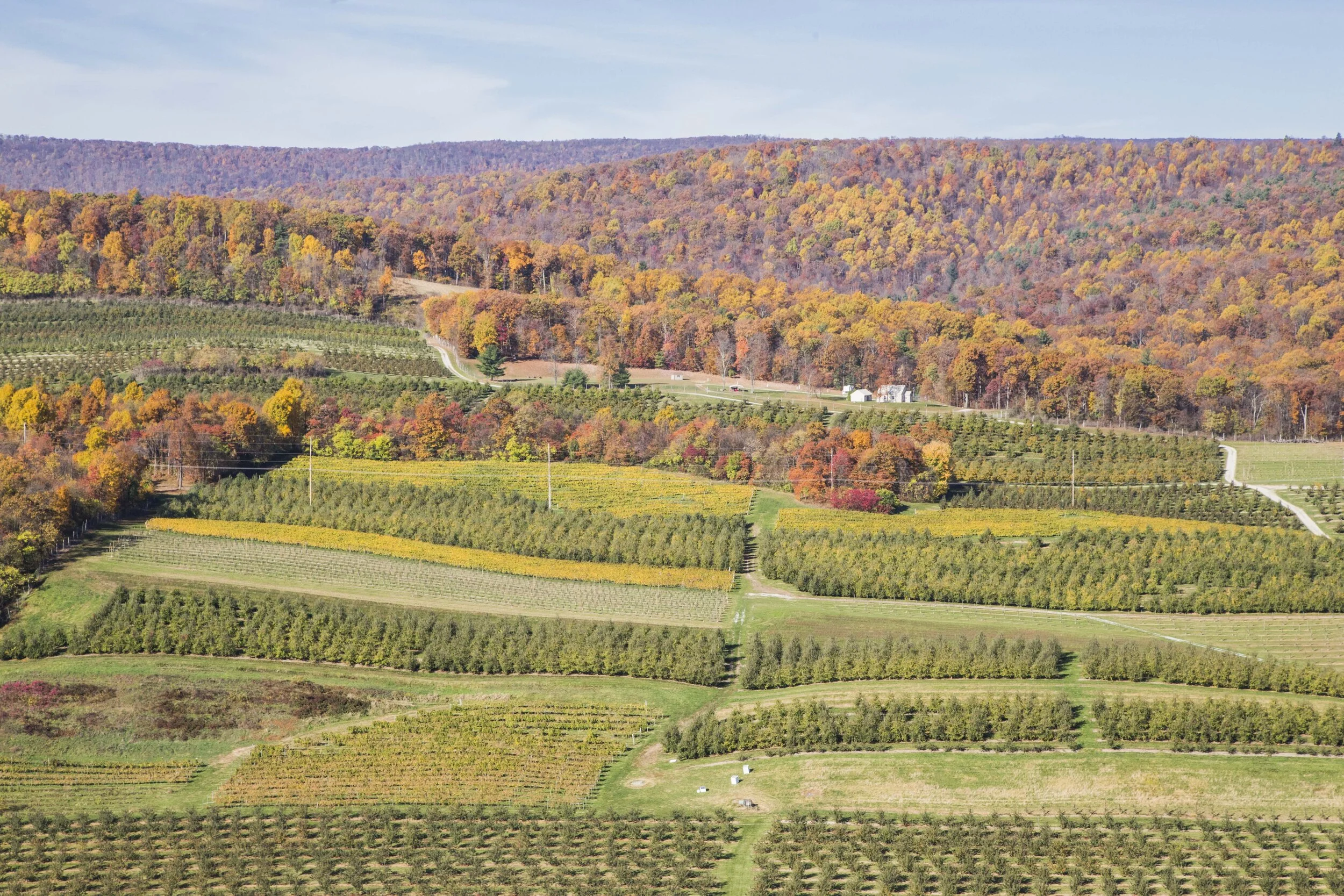 Making the most of your investment in our rural lands