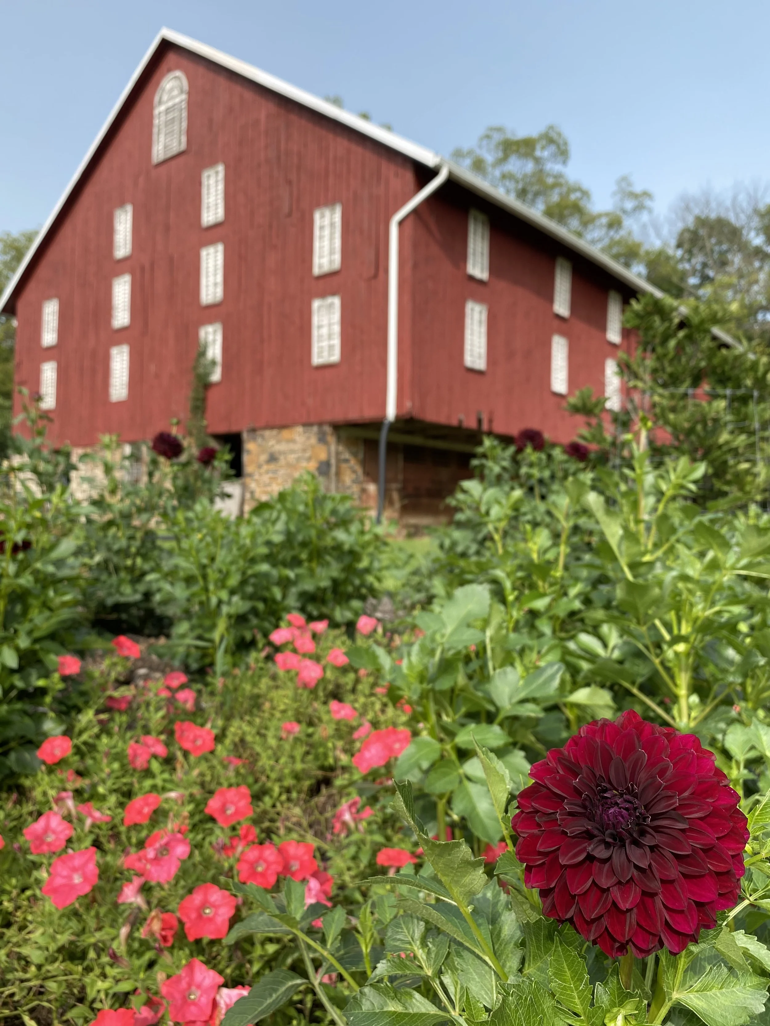 Preserving the past for future generations