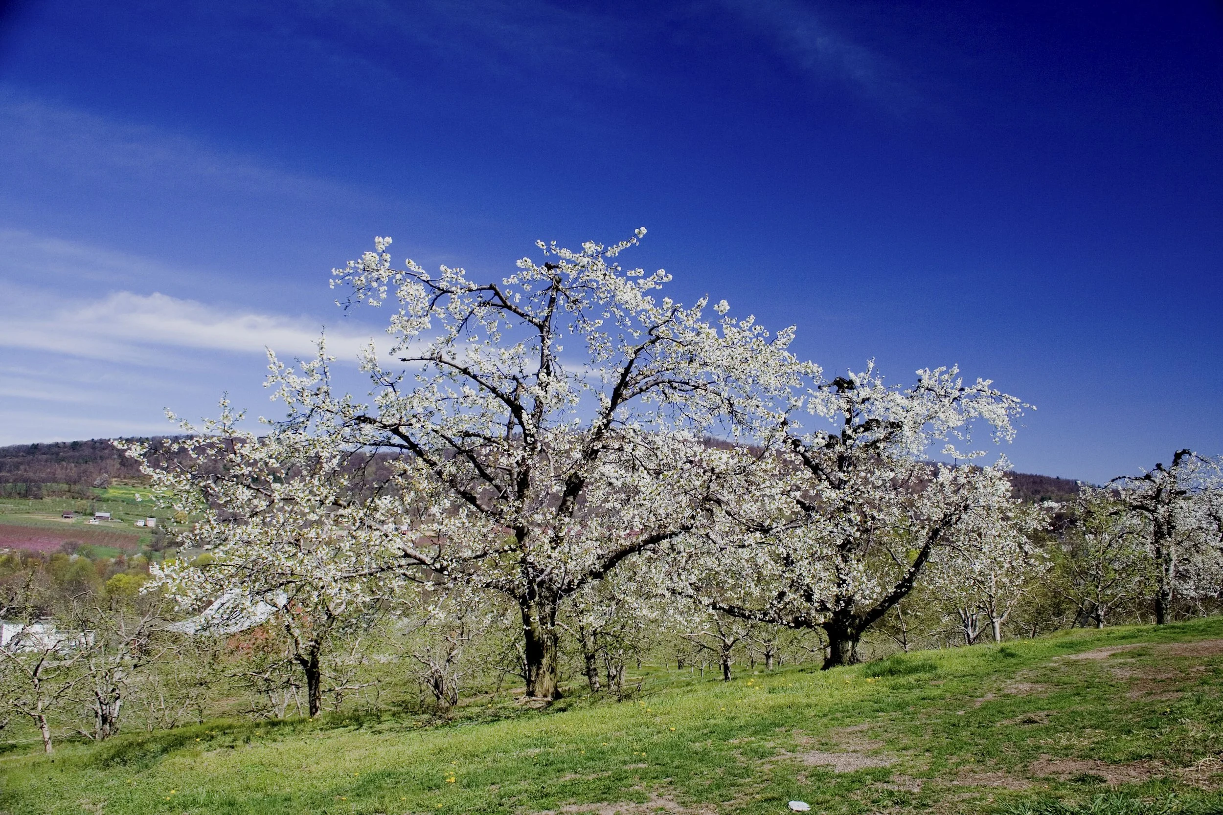 Make Every Day Earth Day