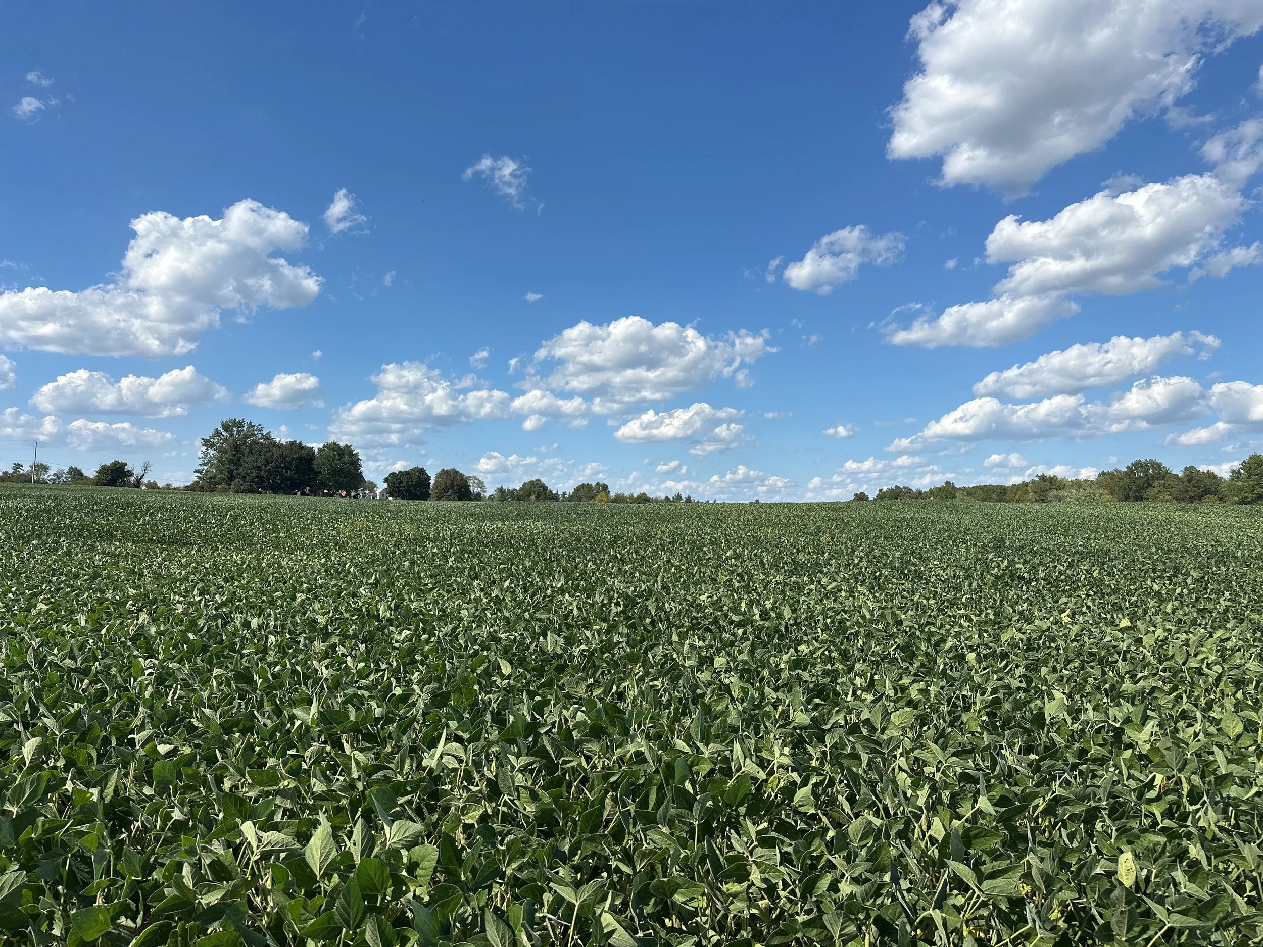 47.11 acres preserved in Mt. Joy Township