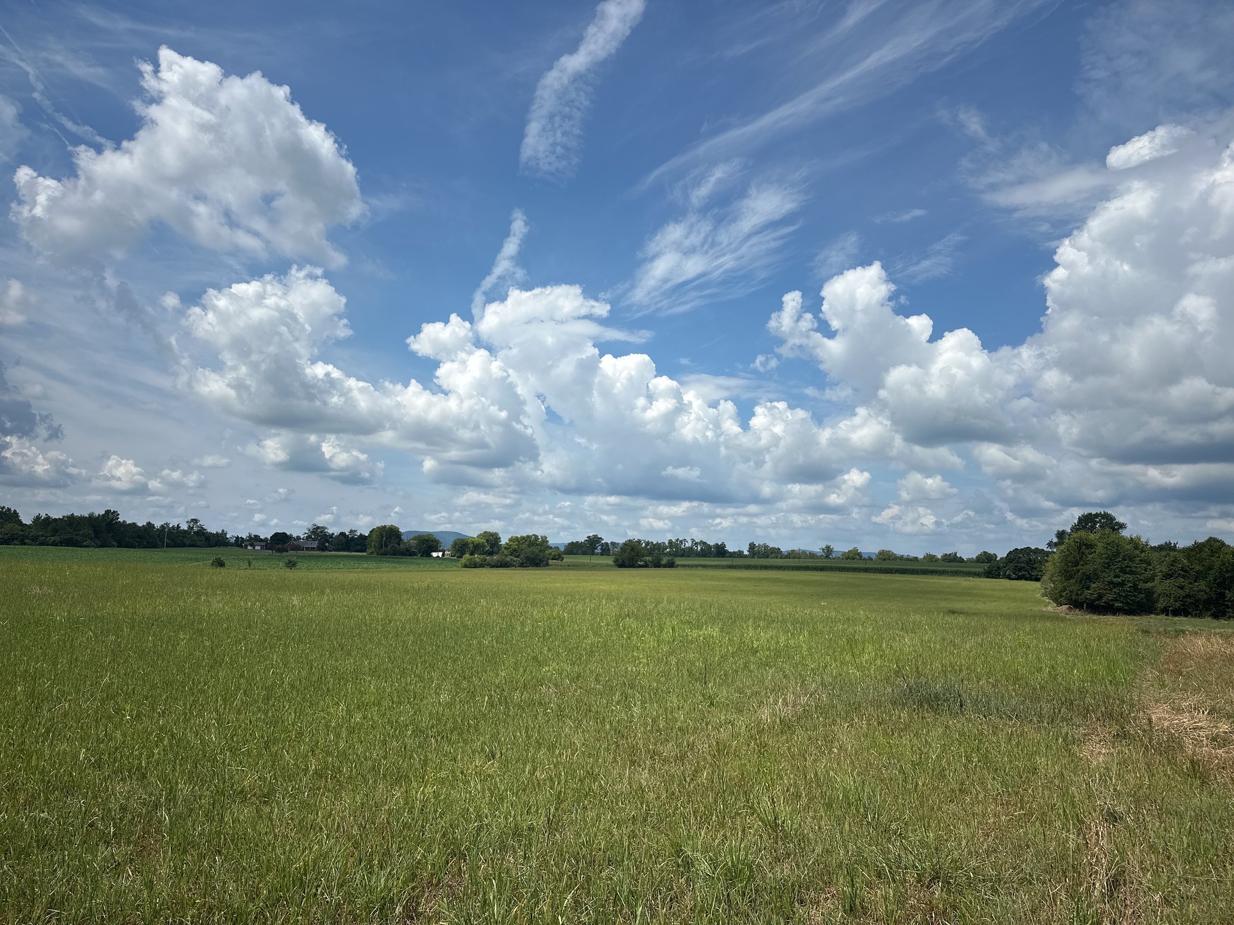 101 acres preserved in Freedom Township