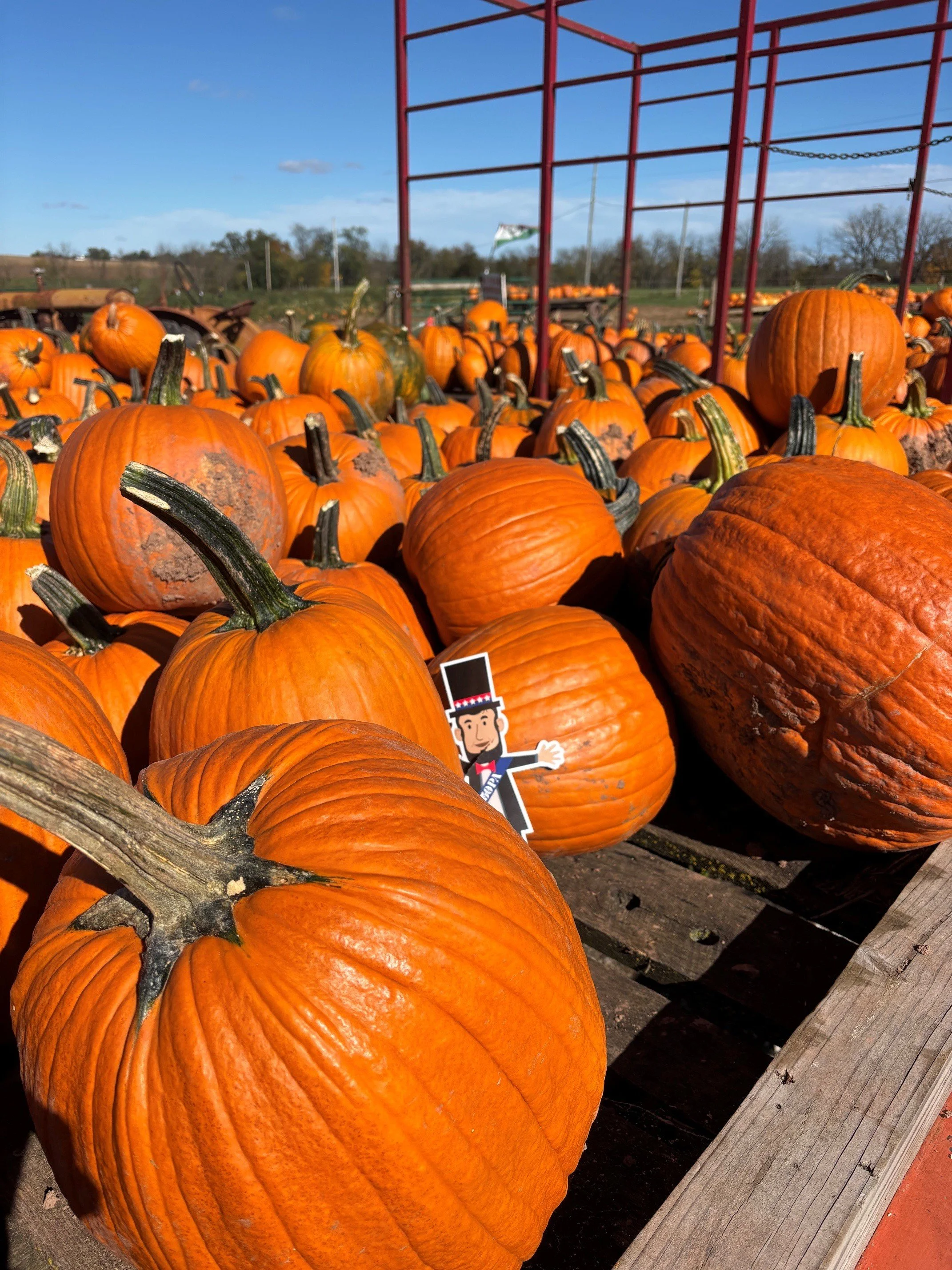 1 Pumpkins.jpg