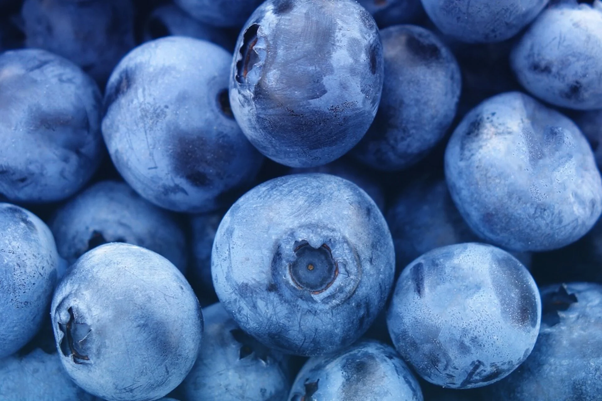 blaubeeren.jpg